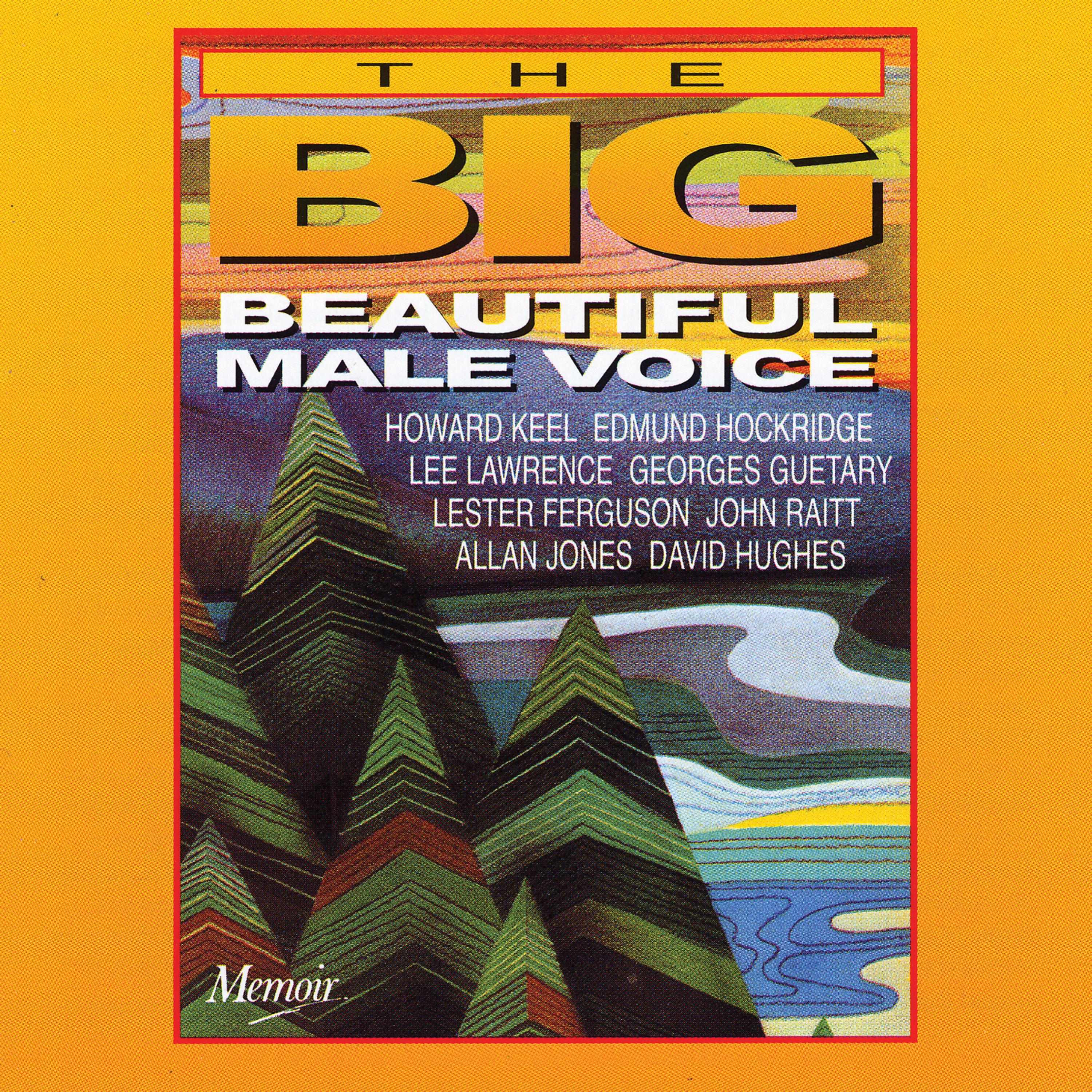 Постер альбома The Big, Beautiful Male Voice