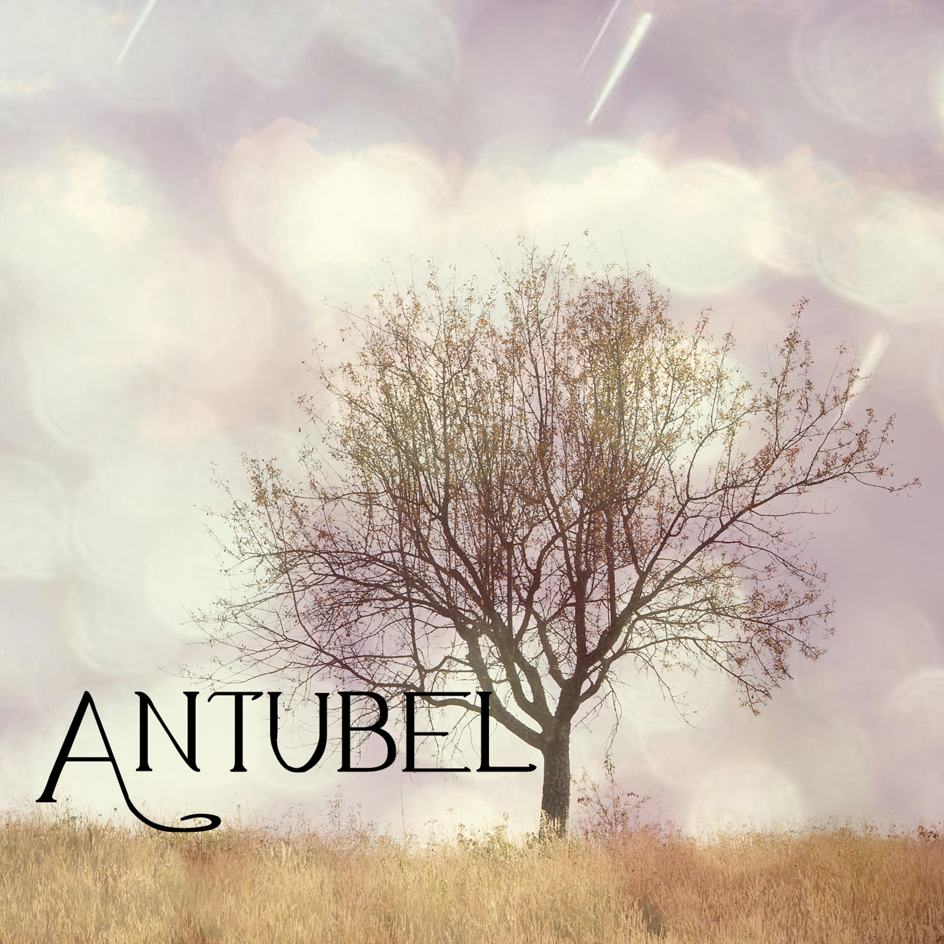 Постер альбома Antubel
