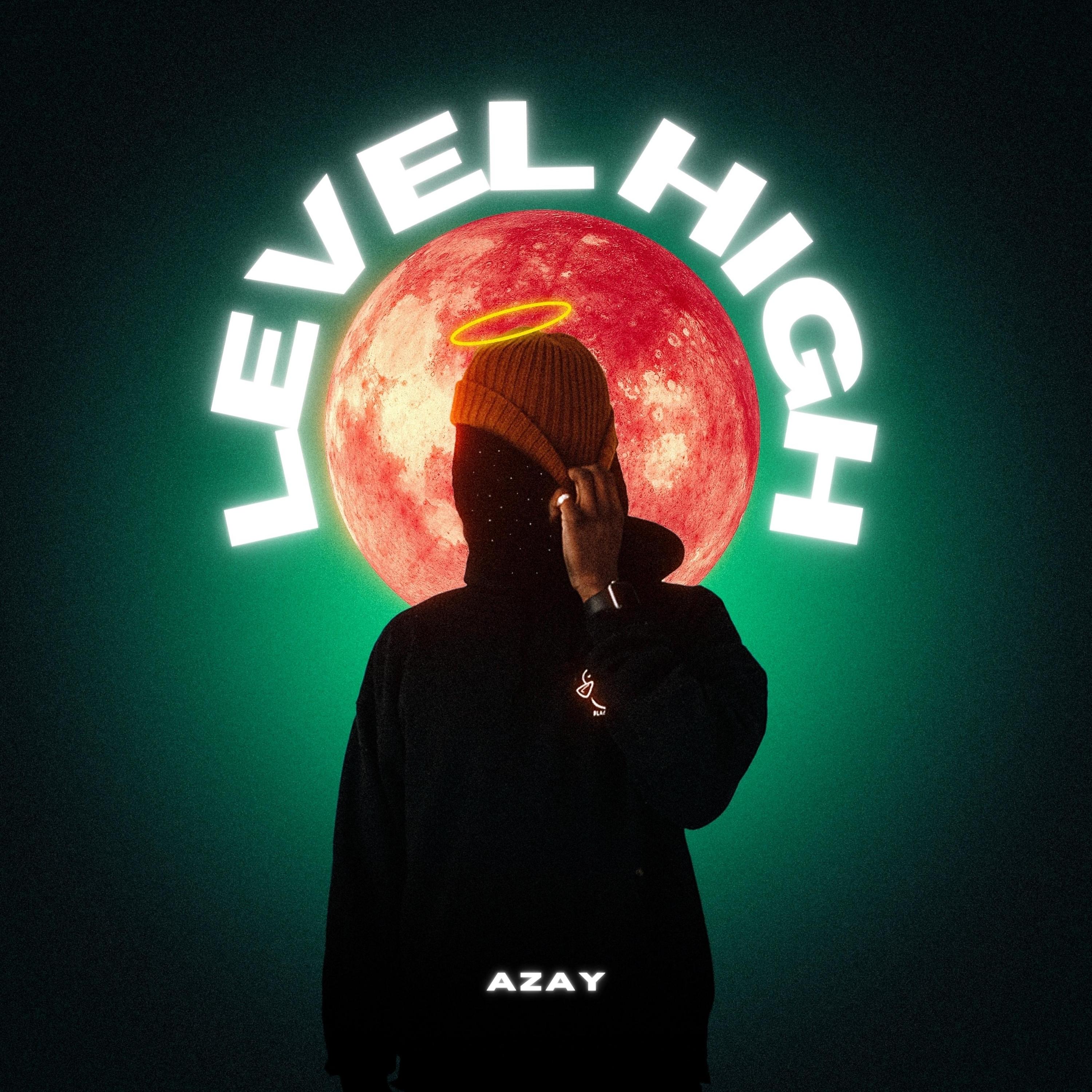 Постер альбома Level High