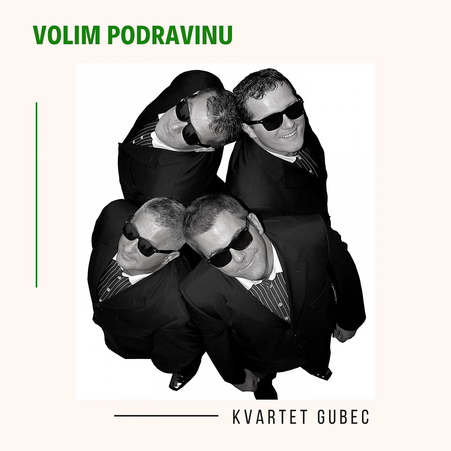 Постер альбома Volim Podravinu