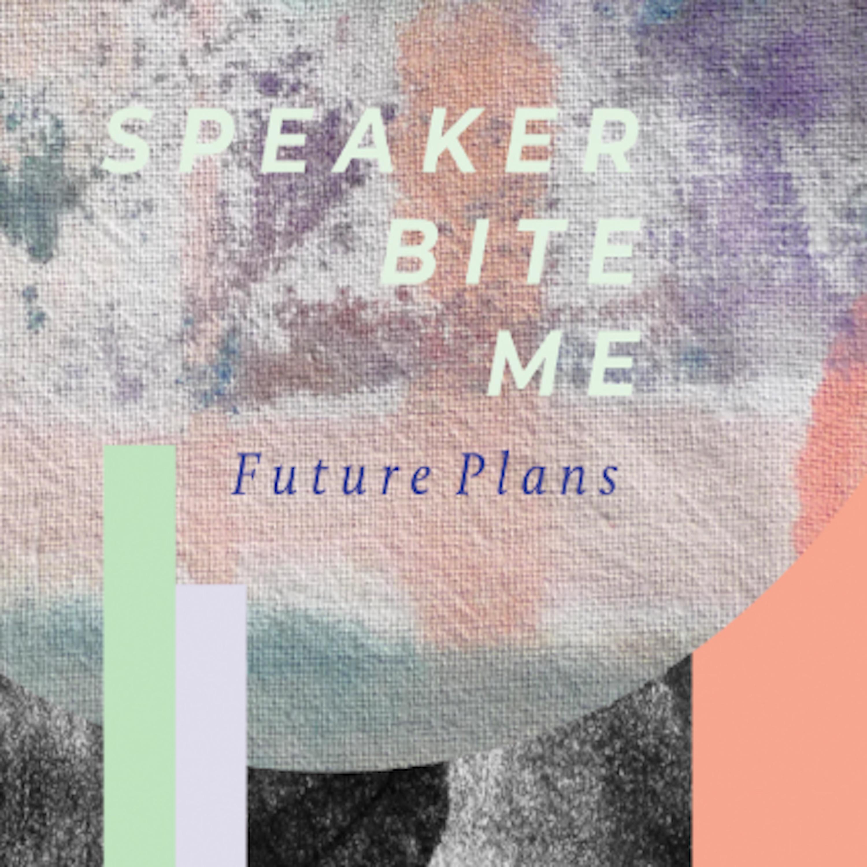 Постер альбома Future Plans (Radio Edit)