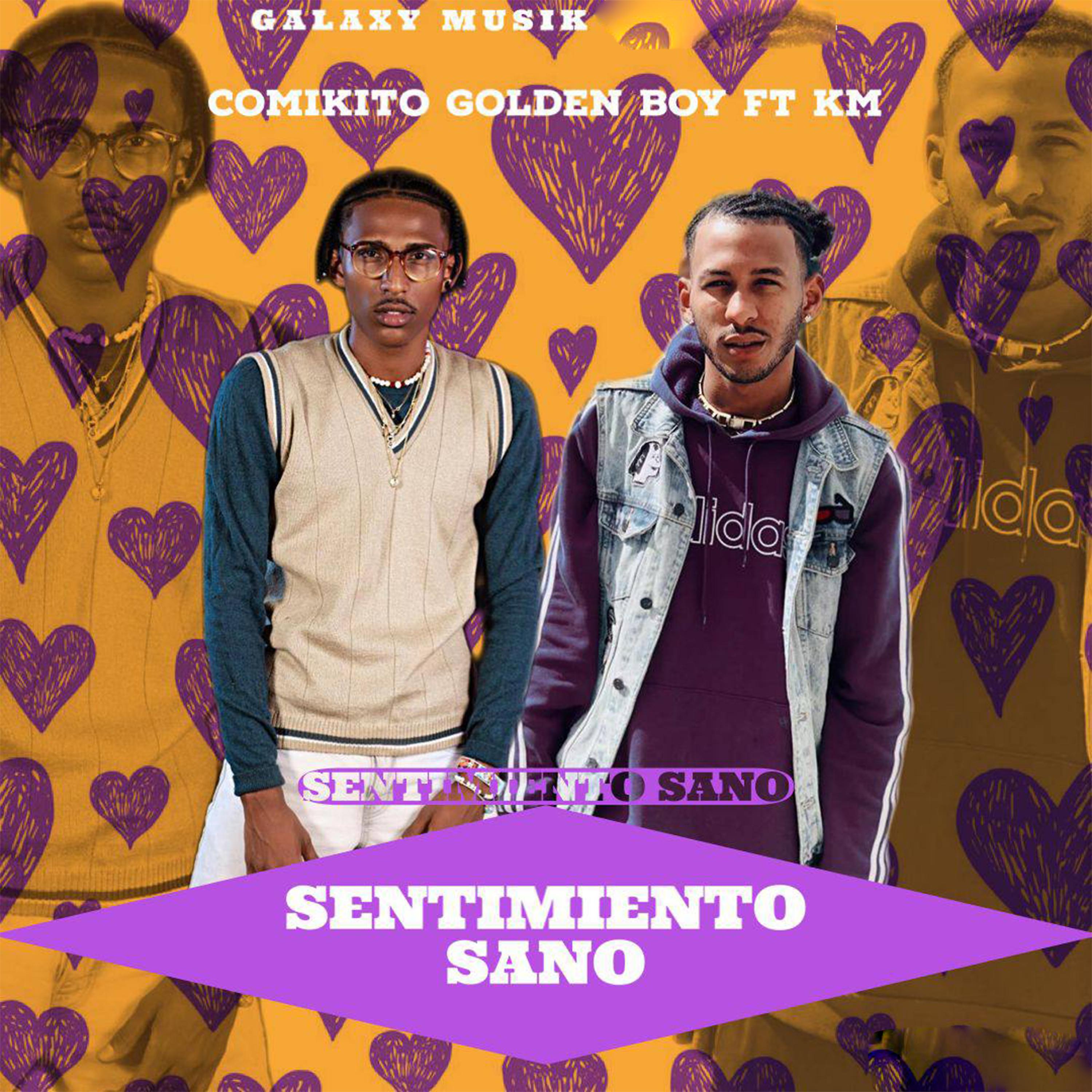 Постер альбома Sentimiento Sano