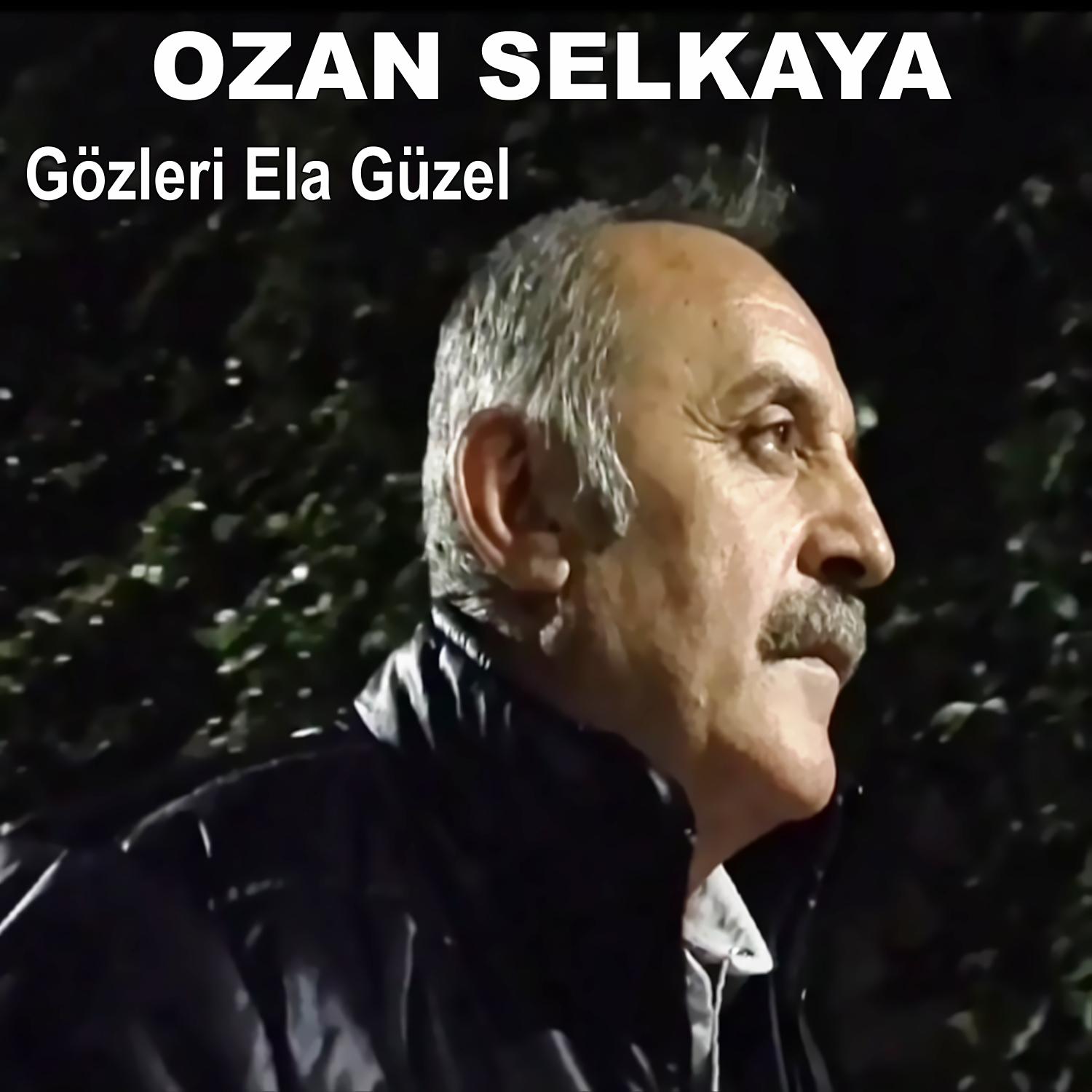 Постер альбома Gözleri Ela Güzel