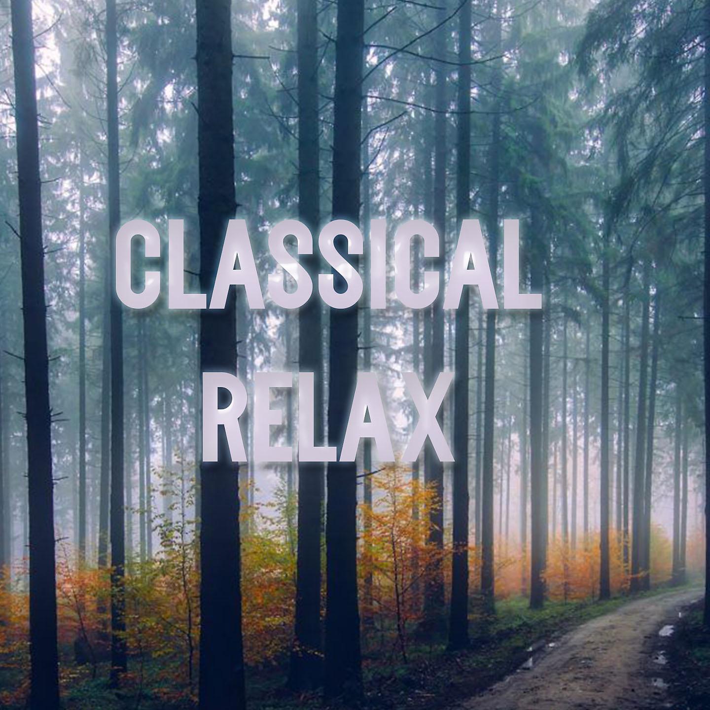 Постер альбома Classical Relax