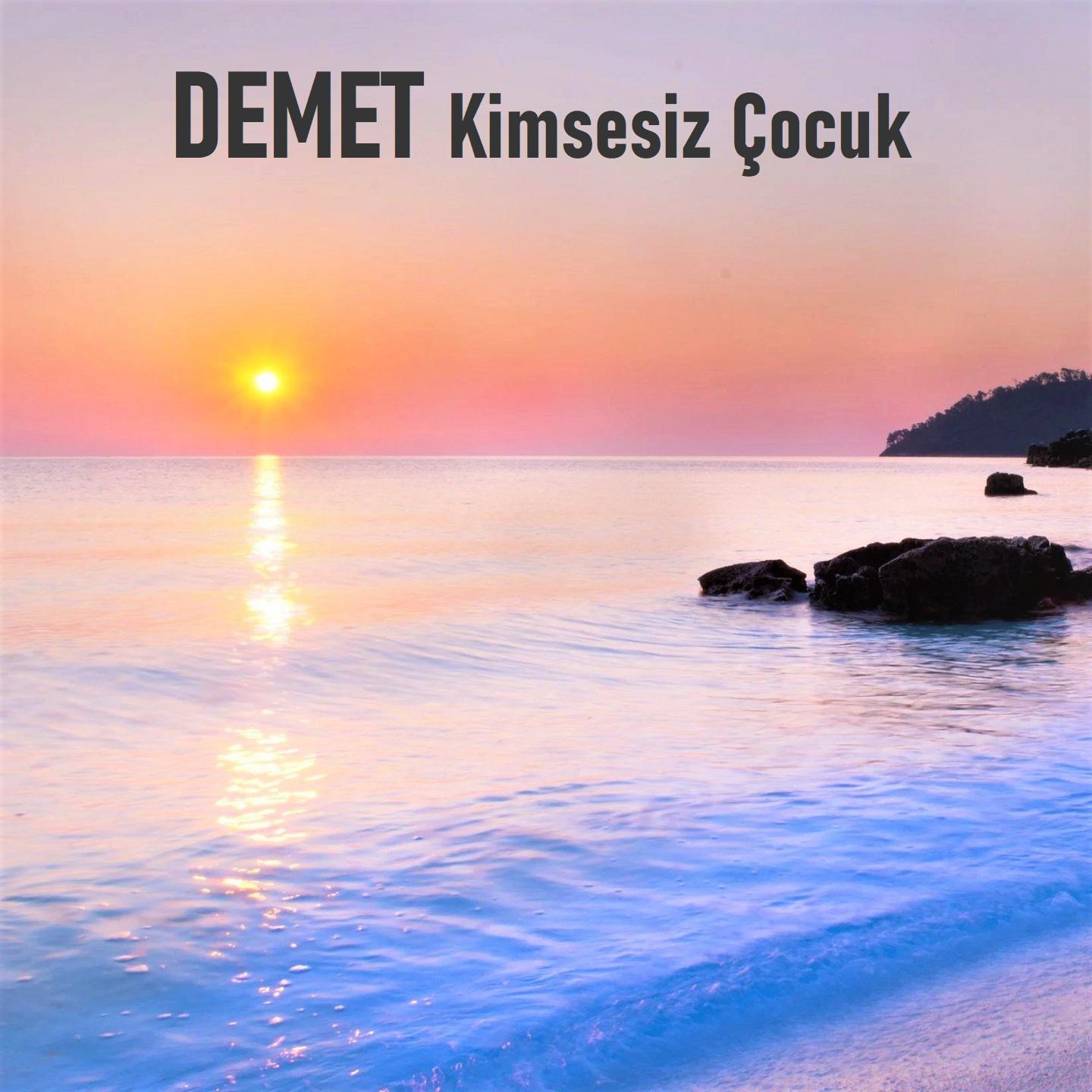 Постер альбома Kimsesiz Çocuk