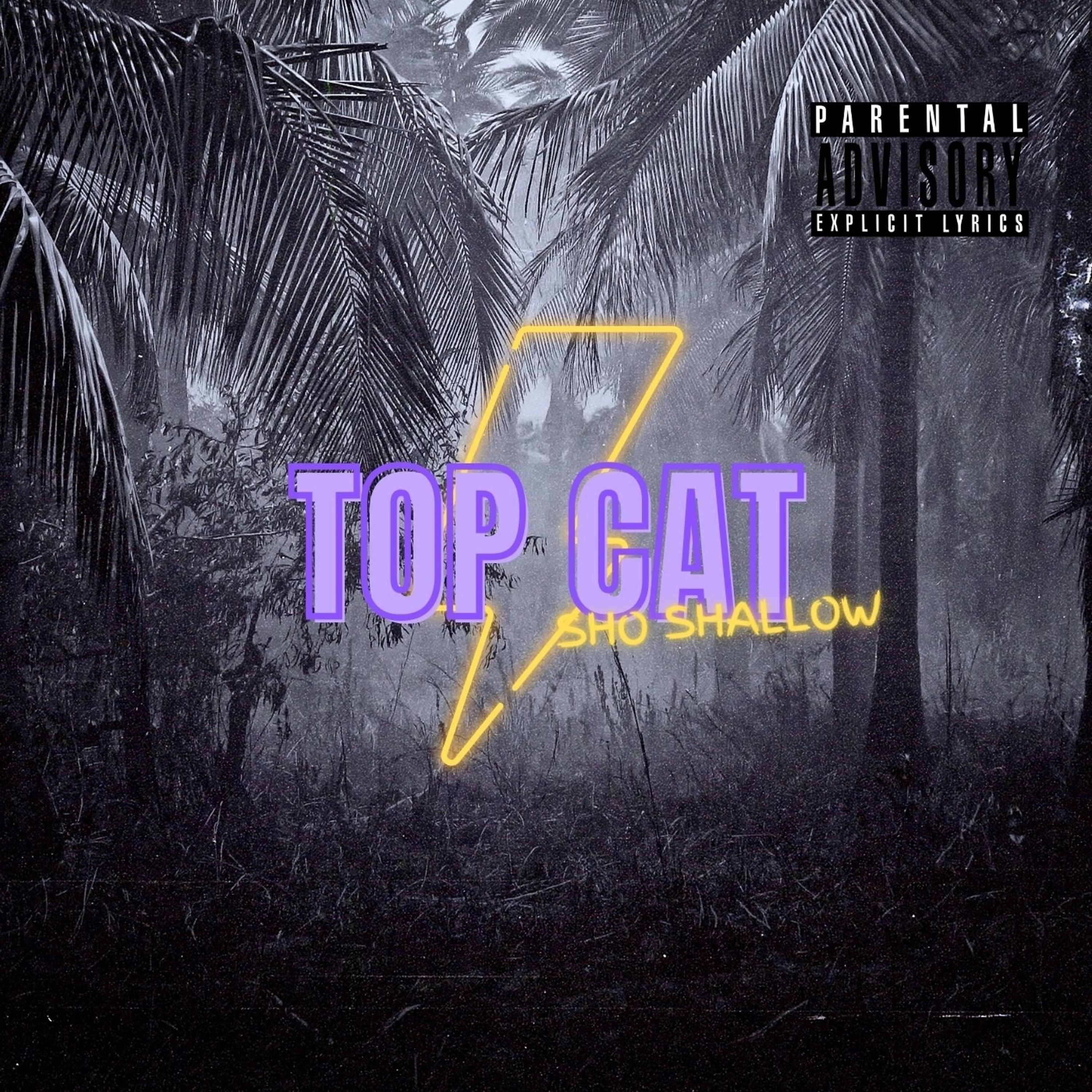 Постер альбома Top Cat