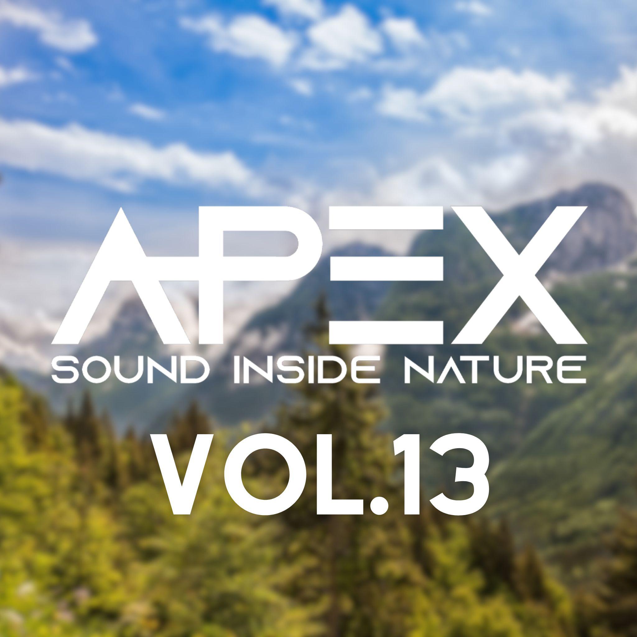 Постер альбома Apex Sound Inside Nature, Vol. 13