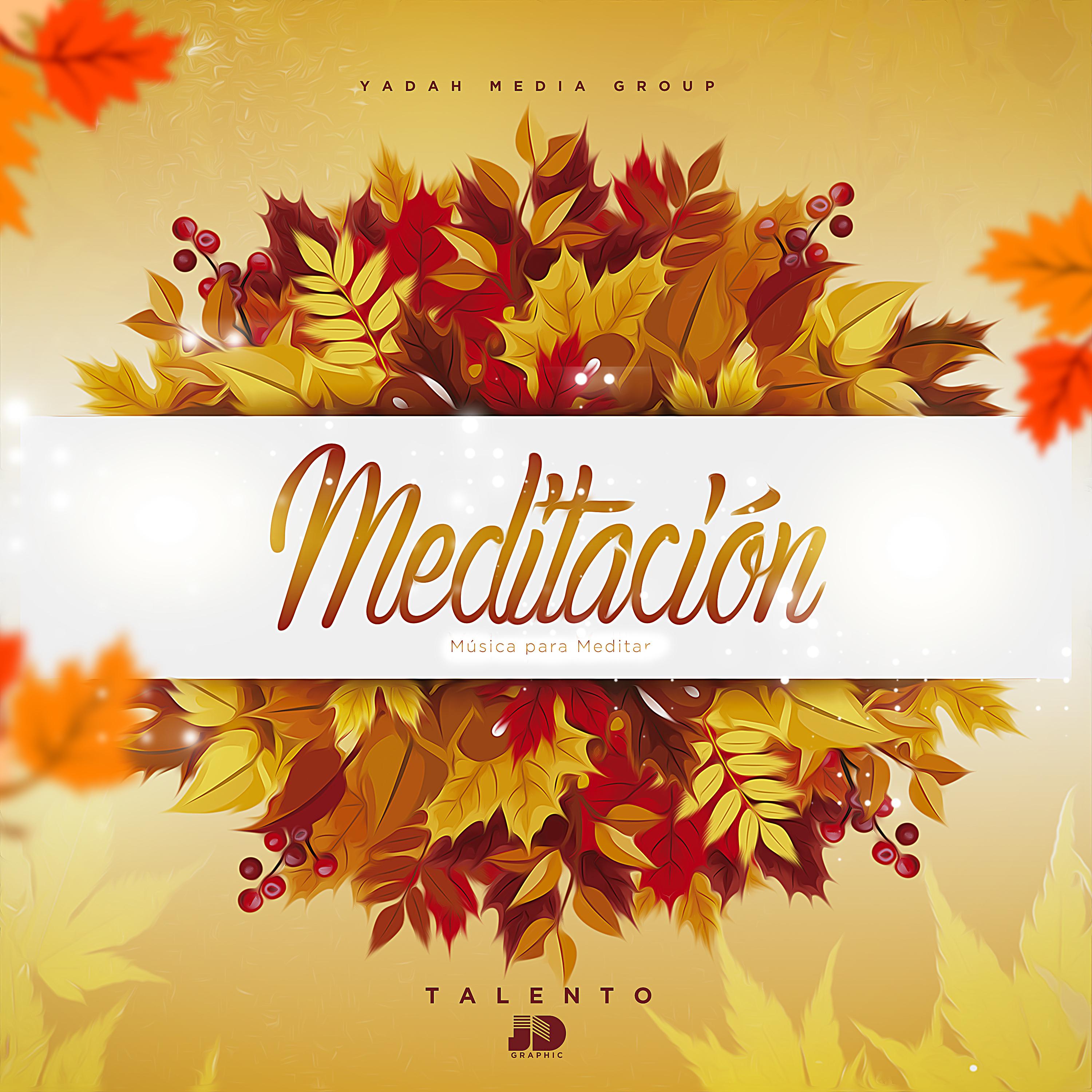 Постер альбома Meditación
