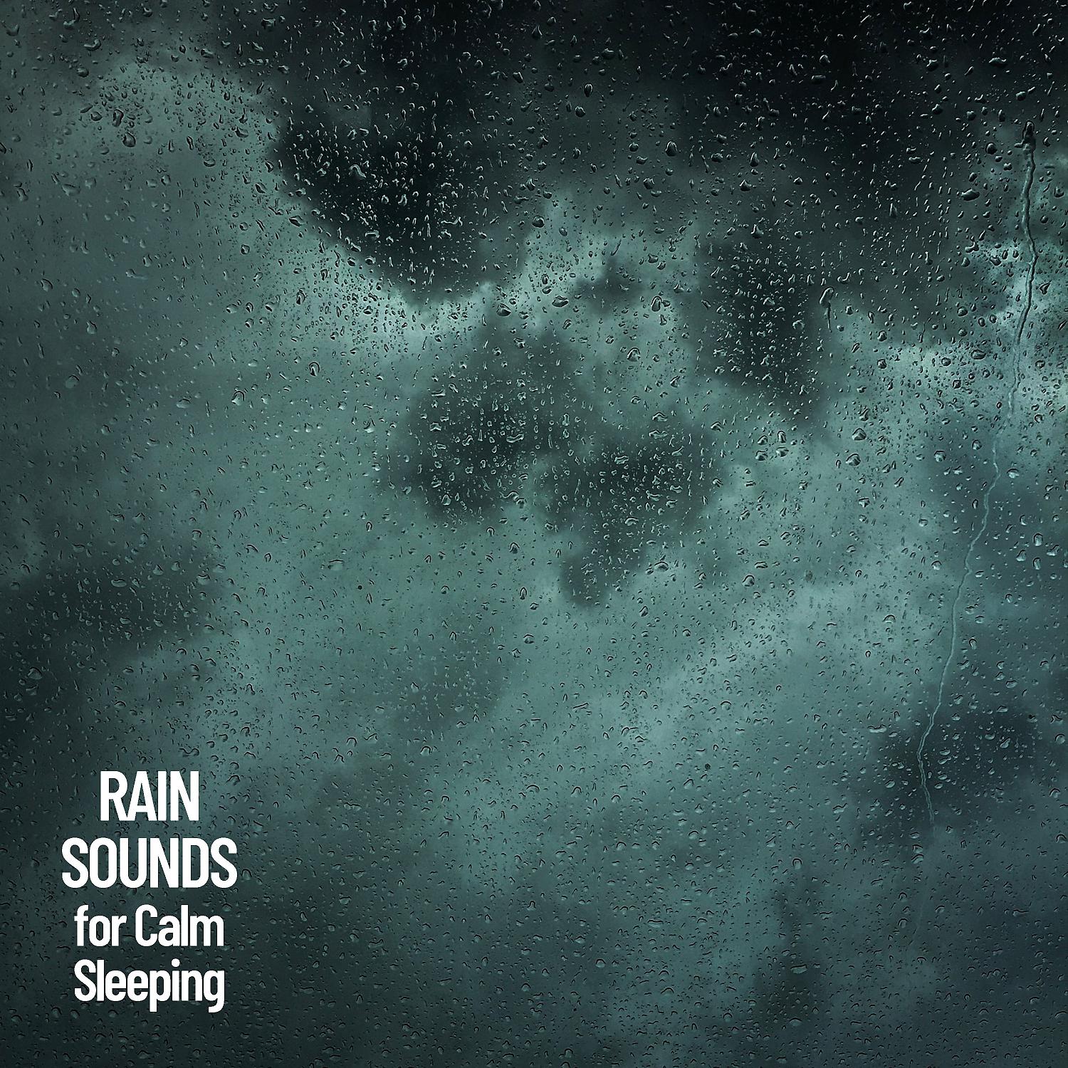 Постер альбома Rain Sounds for Calm Sleeping