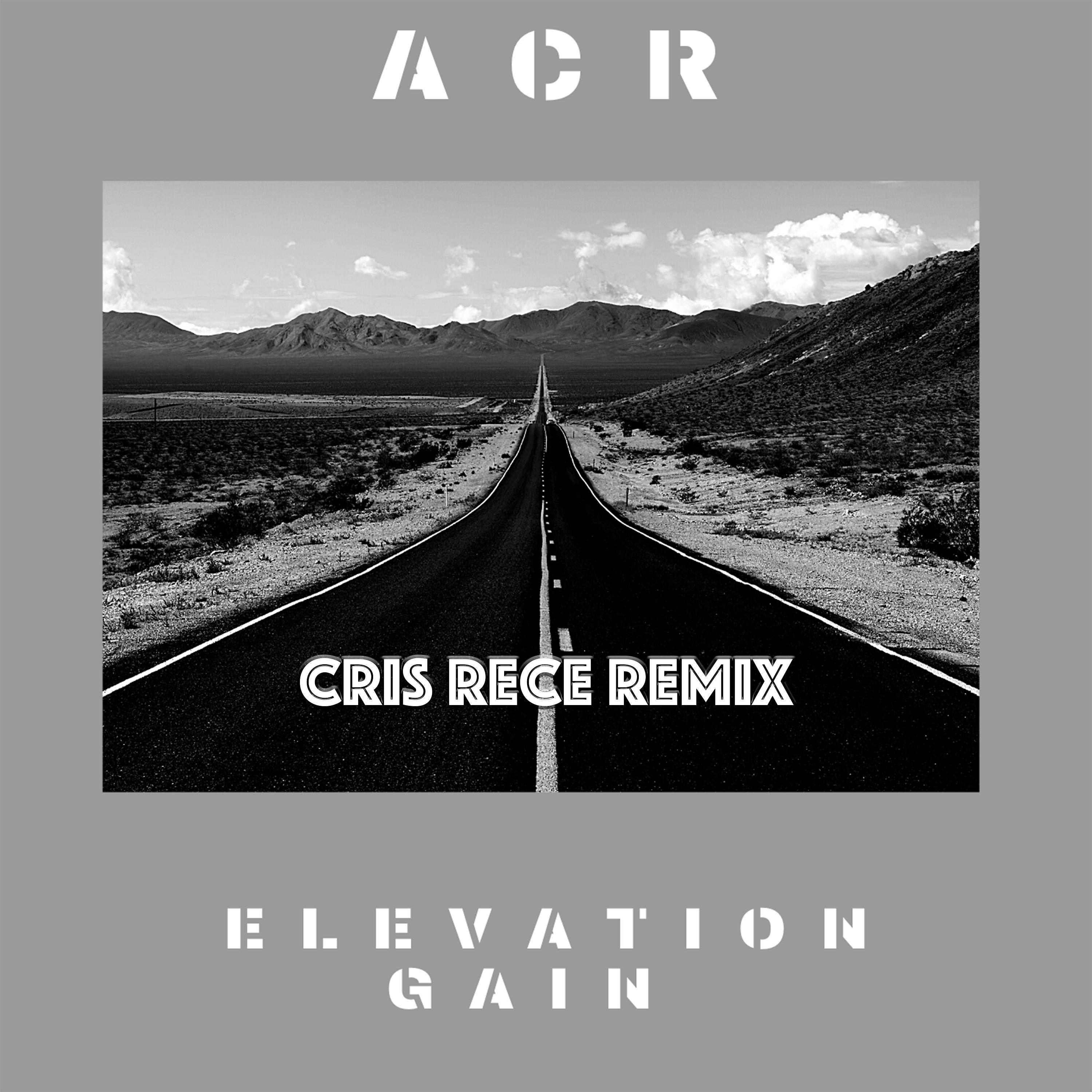 Постер альбома Elevation Gain (Cris Rece Remix)