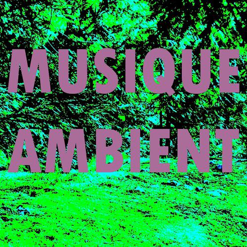 Постер альбома Musique ambient