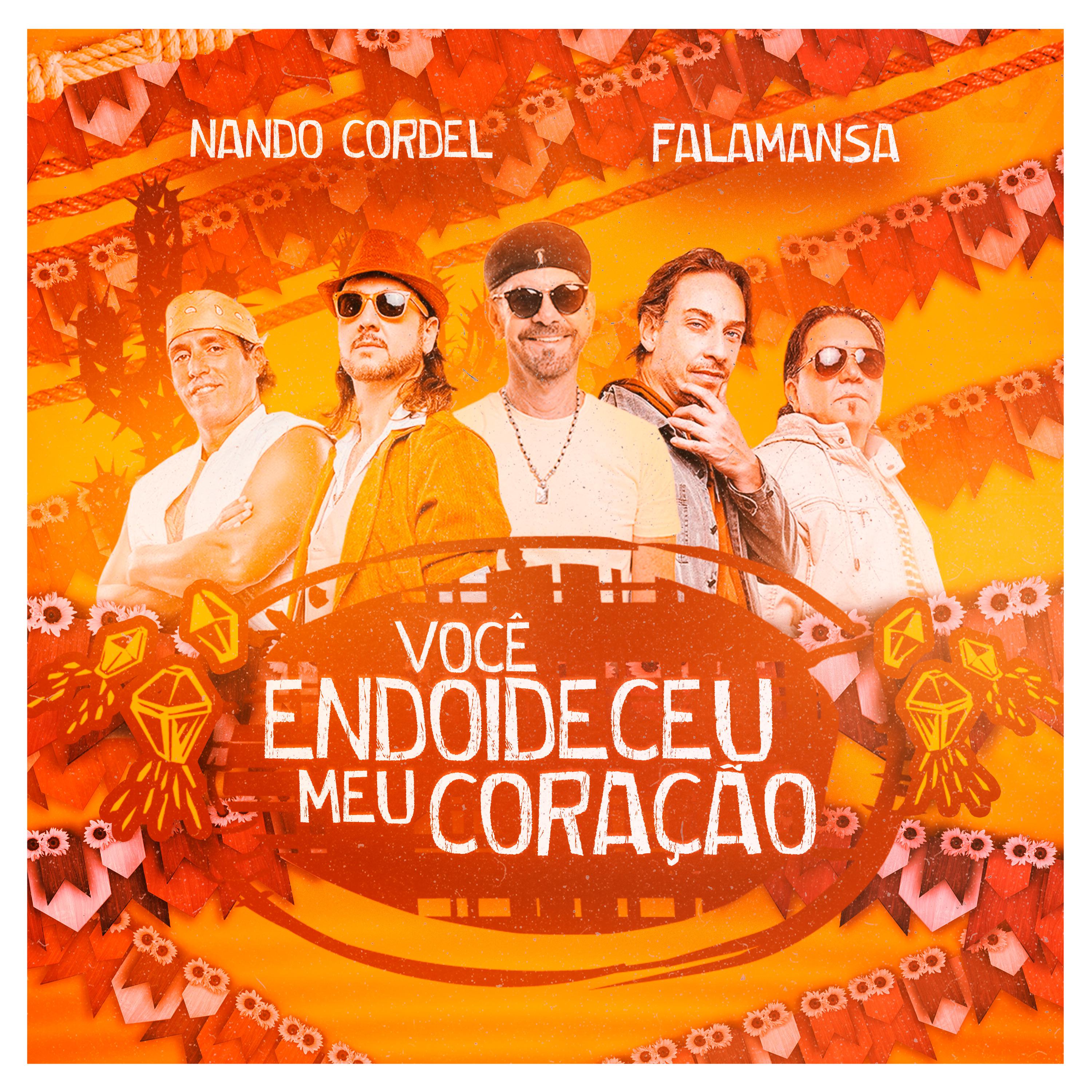 Постер альбома Você Endoideceu Meu Coração