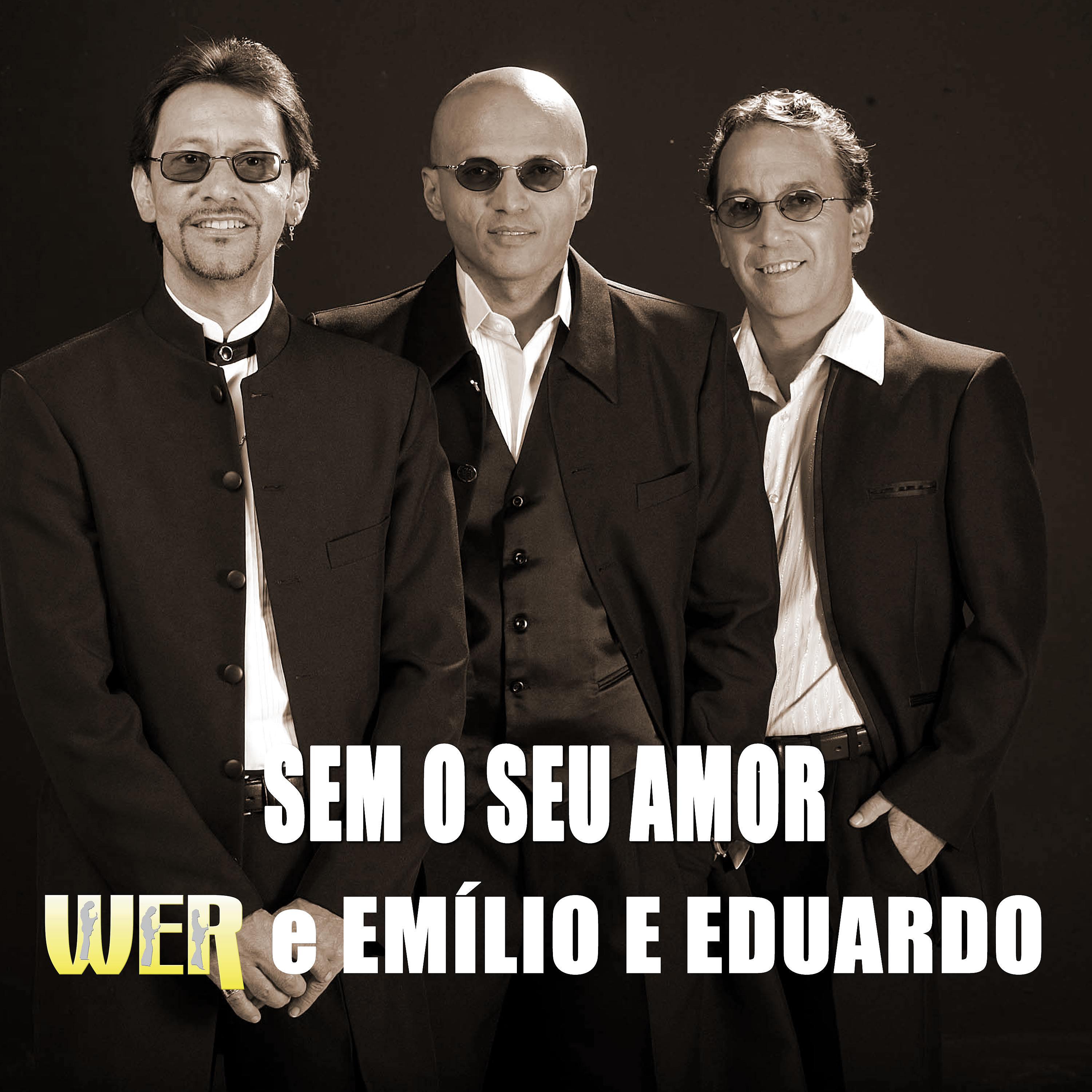 Постер альбома Sem o Seu Amor