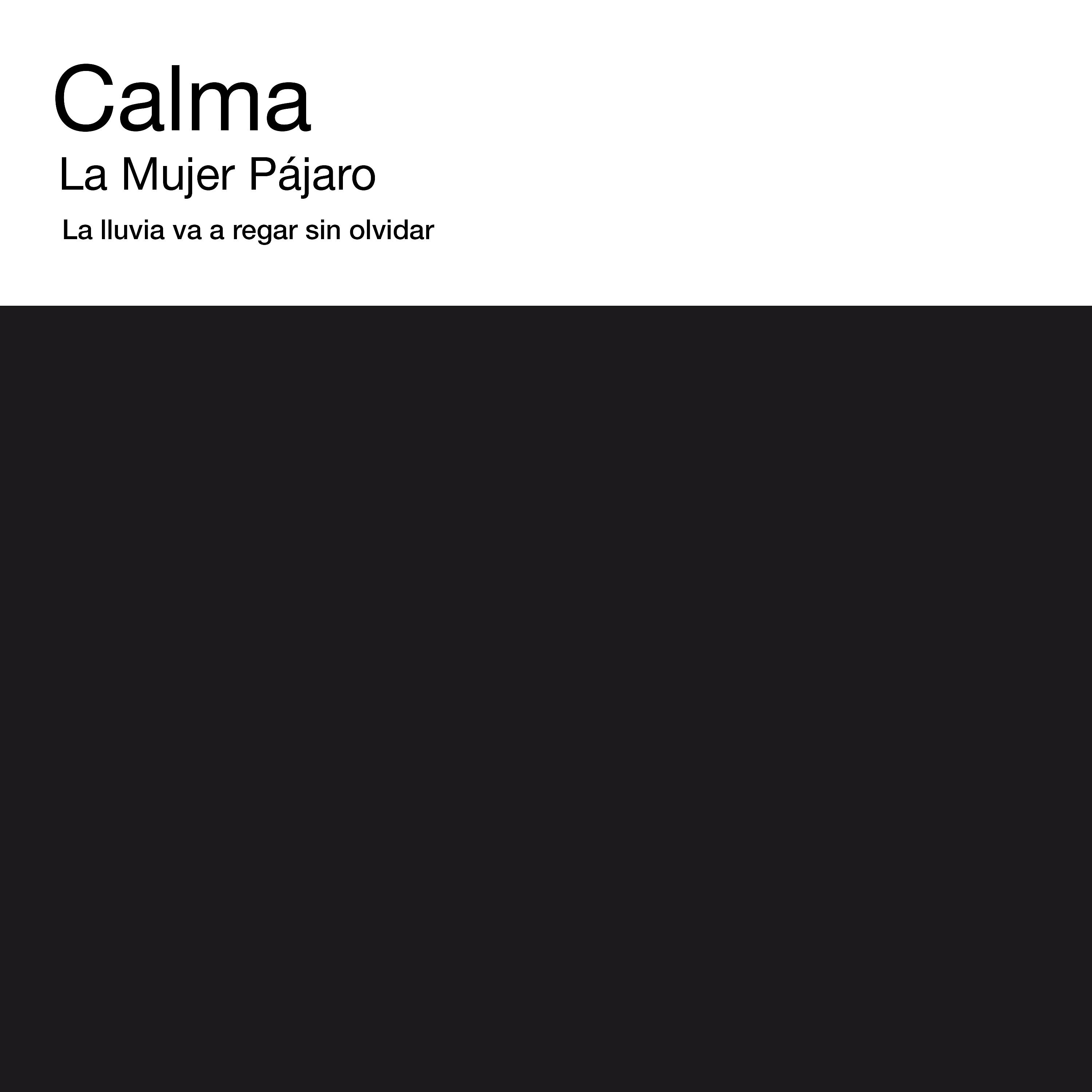 Постер альбома Calma