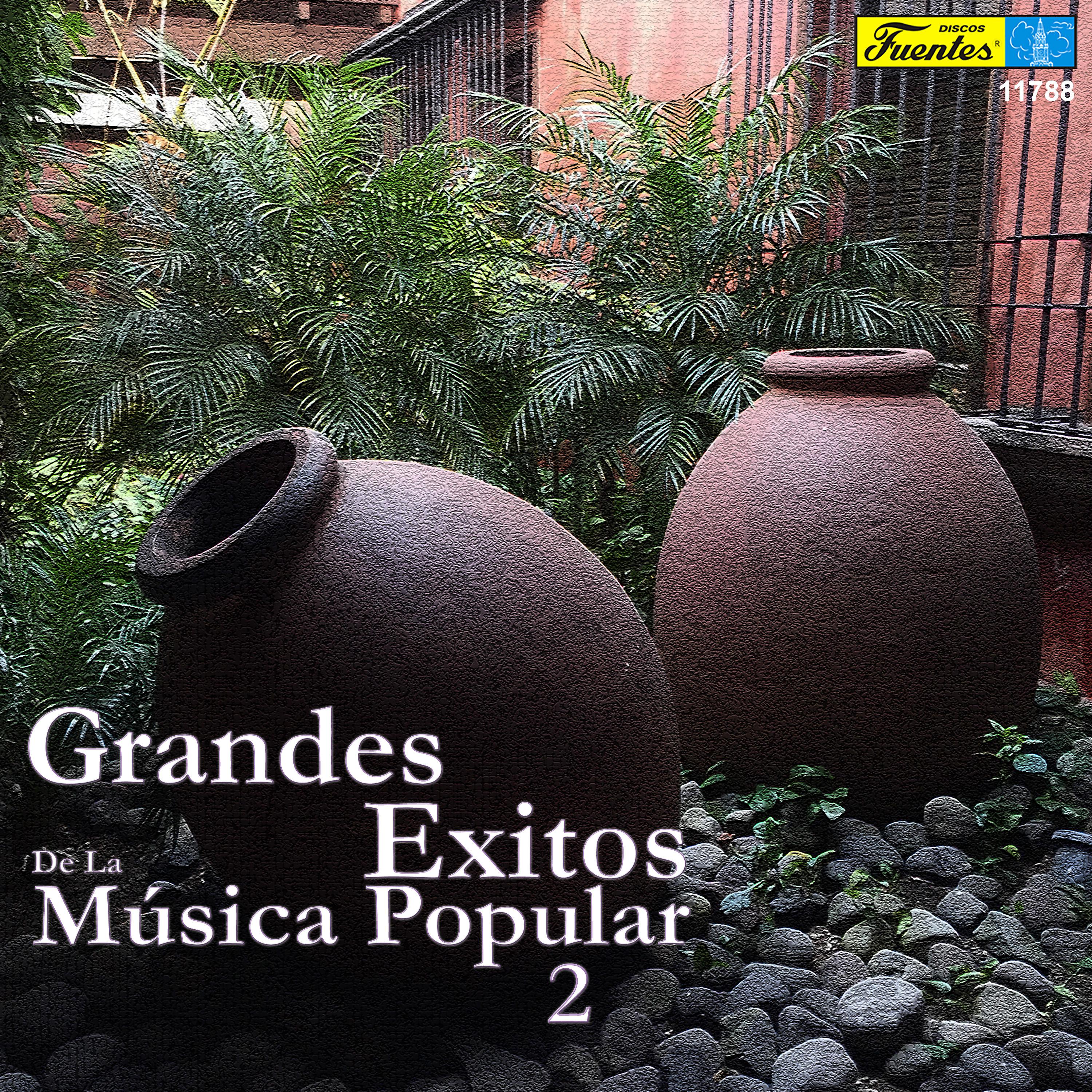 Постер альбома Grandes Éxitos de la Música Popular, Vol. 2