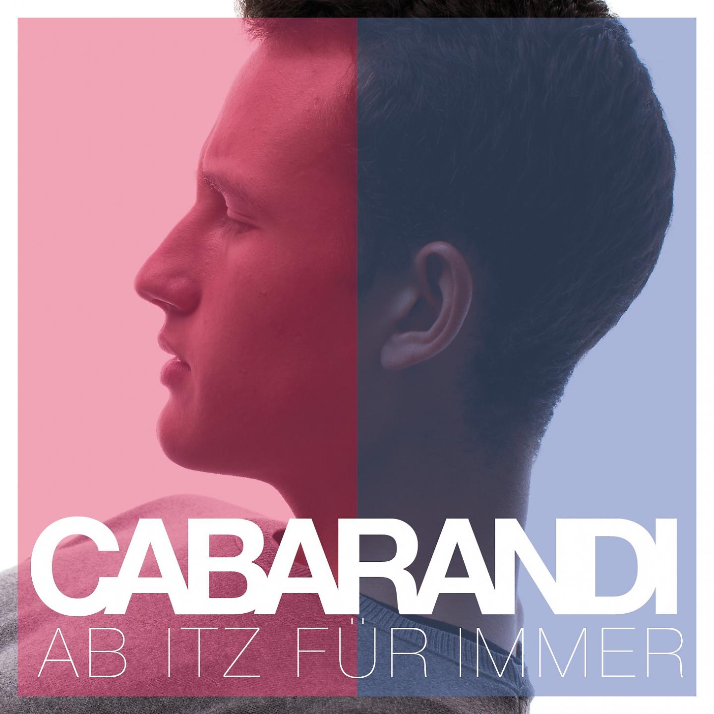 Постер альбома Ab itz für immer