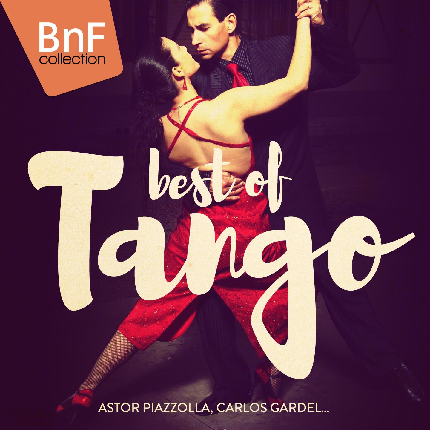 Постер альбома Best of Tango (The Best Tango Tracks Played by Classic Artists Like Astor Piazzolla or Carlos Gardel...)