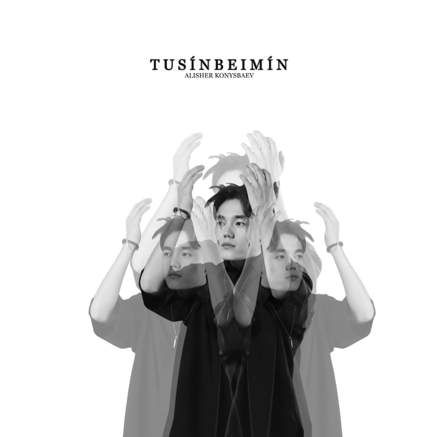 Постер альбома Tusinbeimin