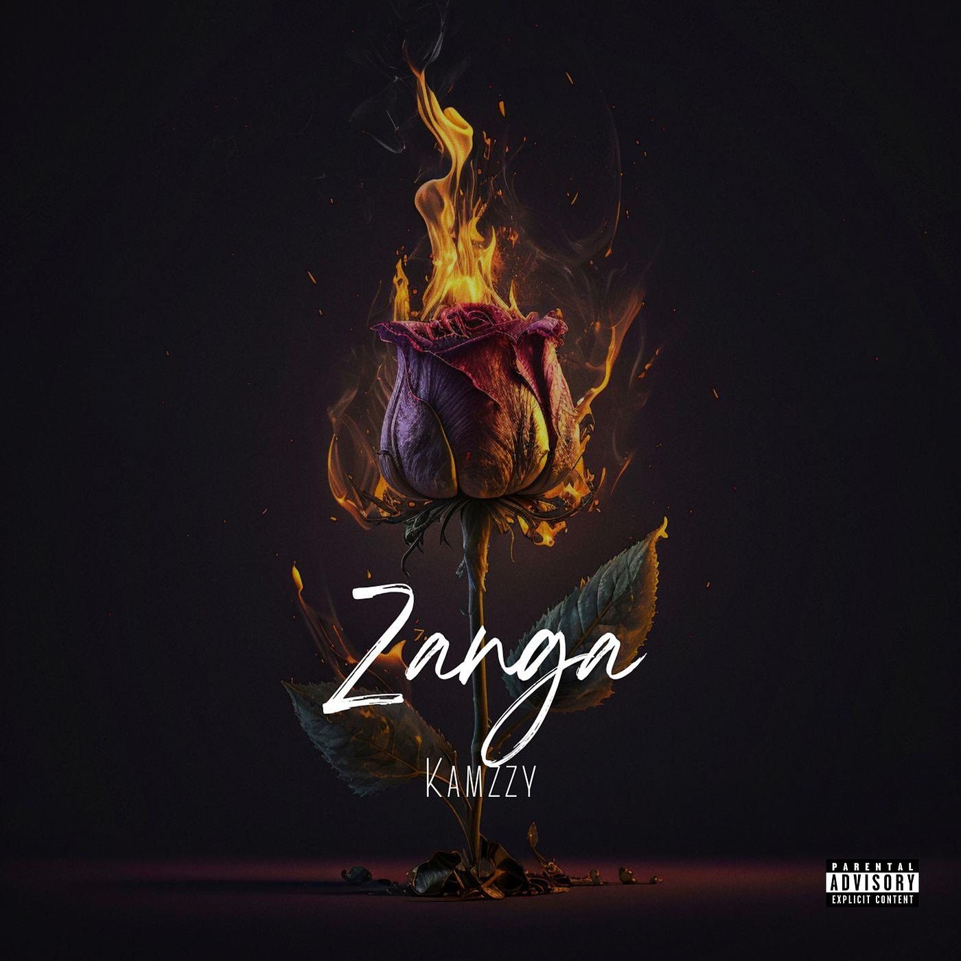 Постер альбома Zanga