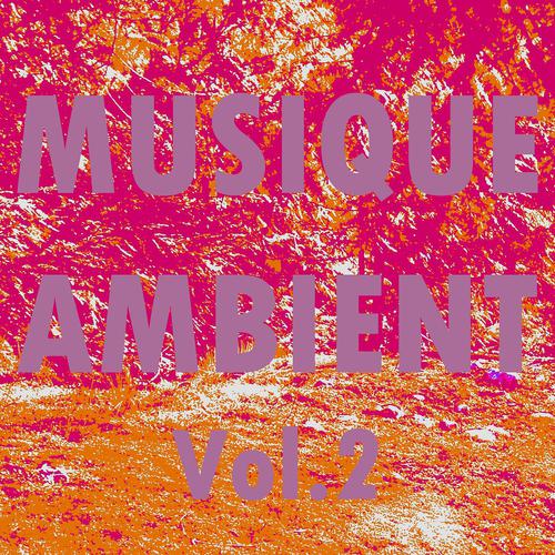 Постер альбома Musique ambient, vol. 2