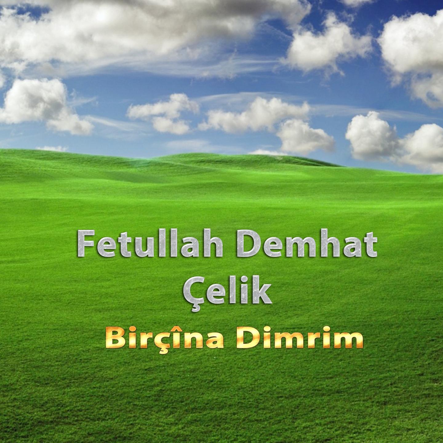 Постер альбома Birçîna Dimrim
