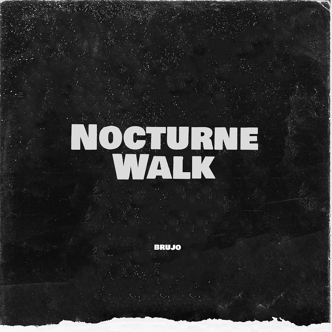 Постер альбома Nocturne Walk