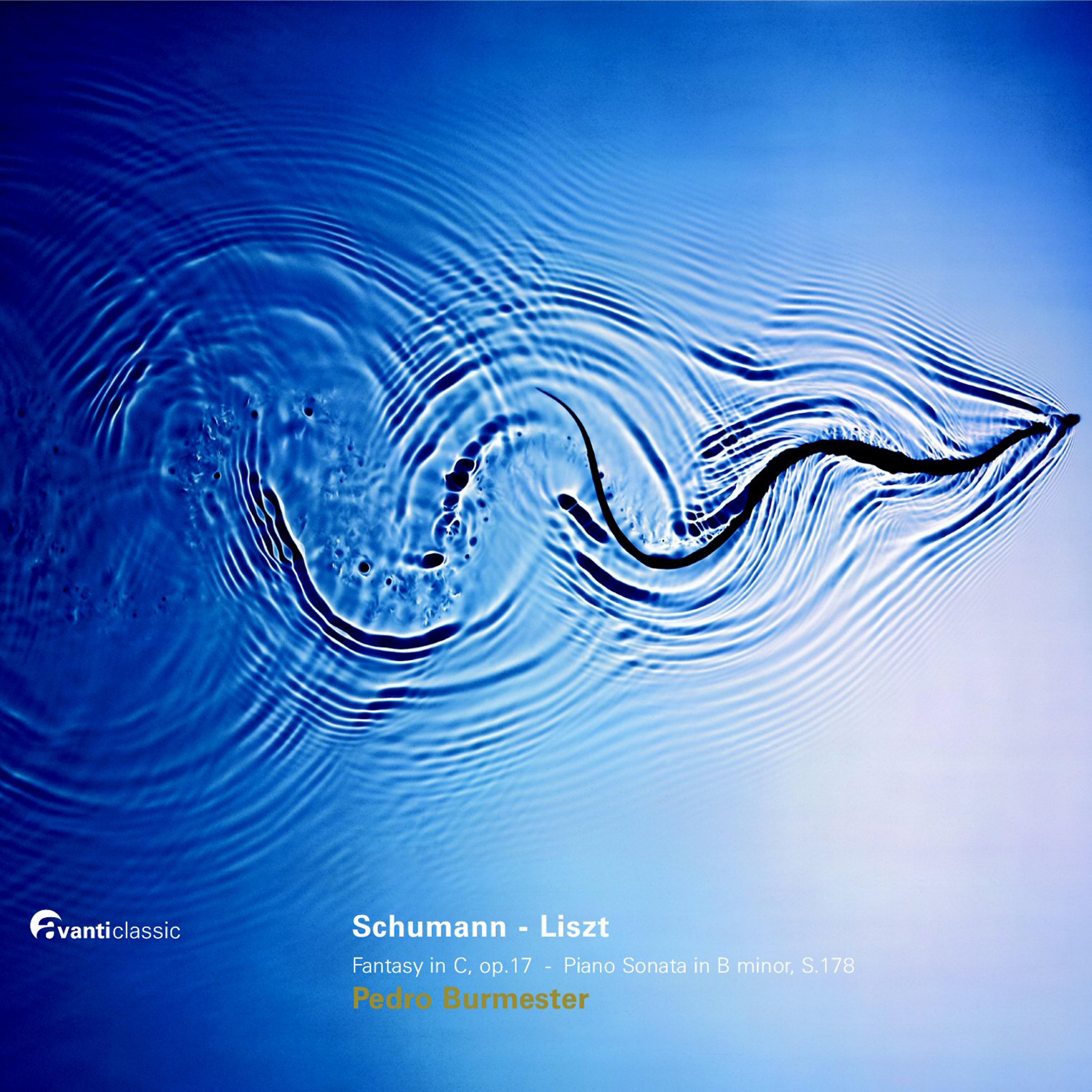 Постер альбома Schumann: Fantasie op. 17 - Liszt : Sonata in B Minor, S 178