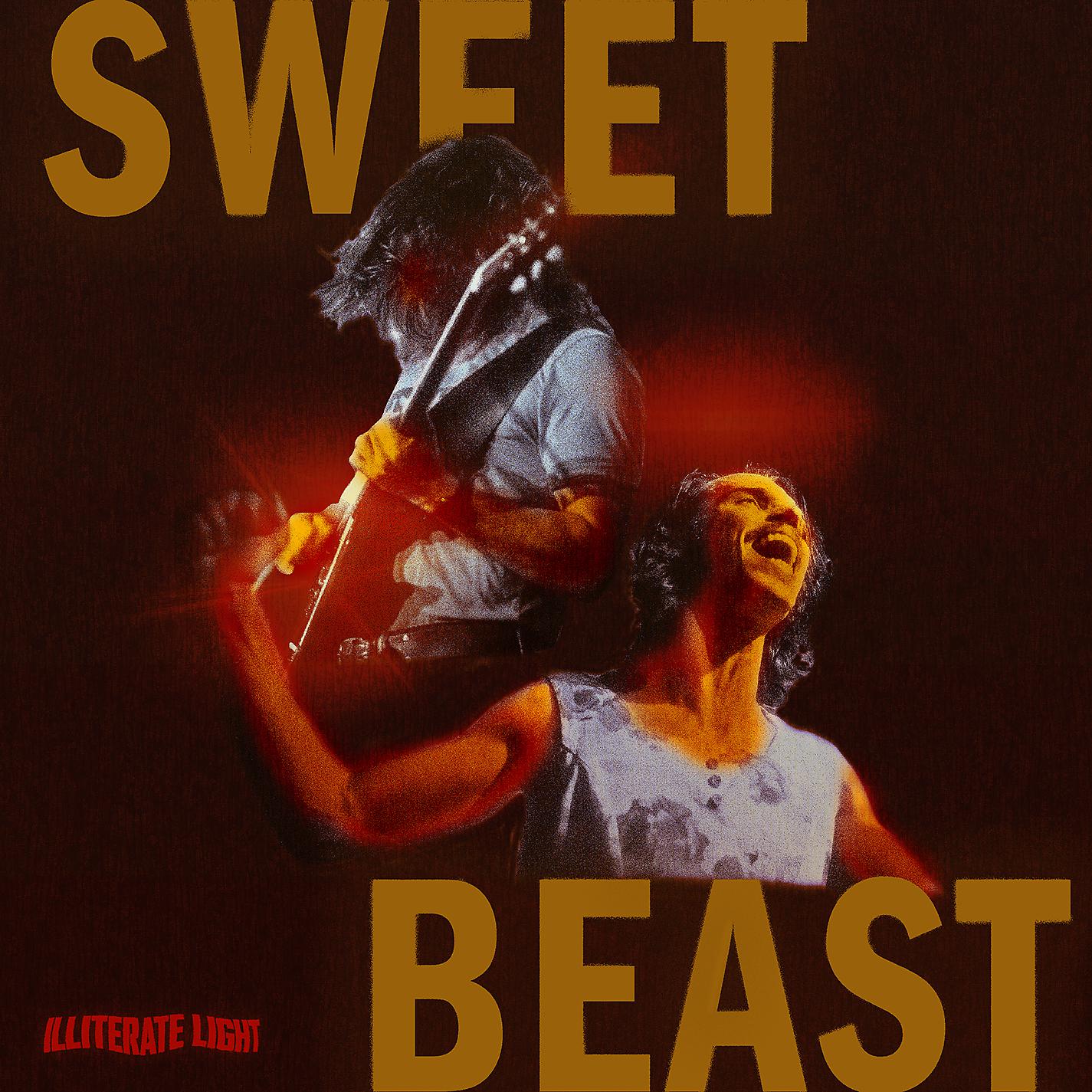 Постер альбома Sweet Beast