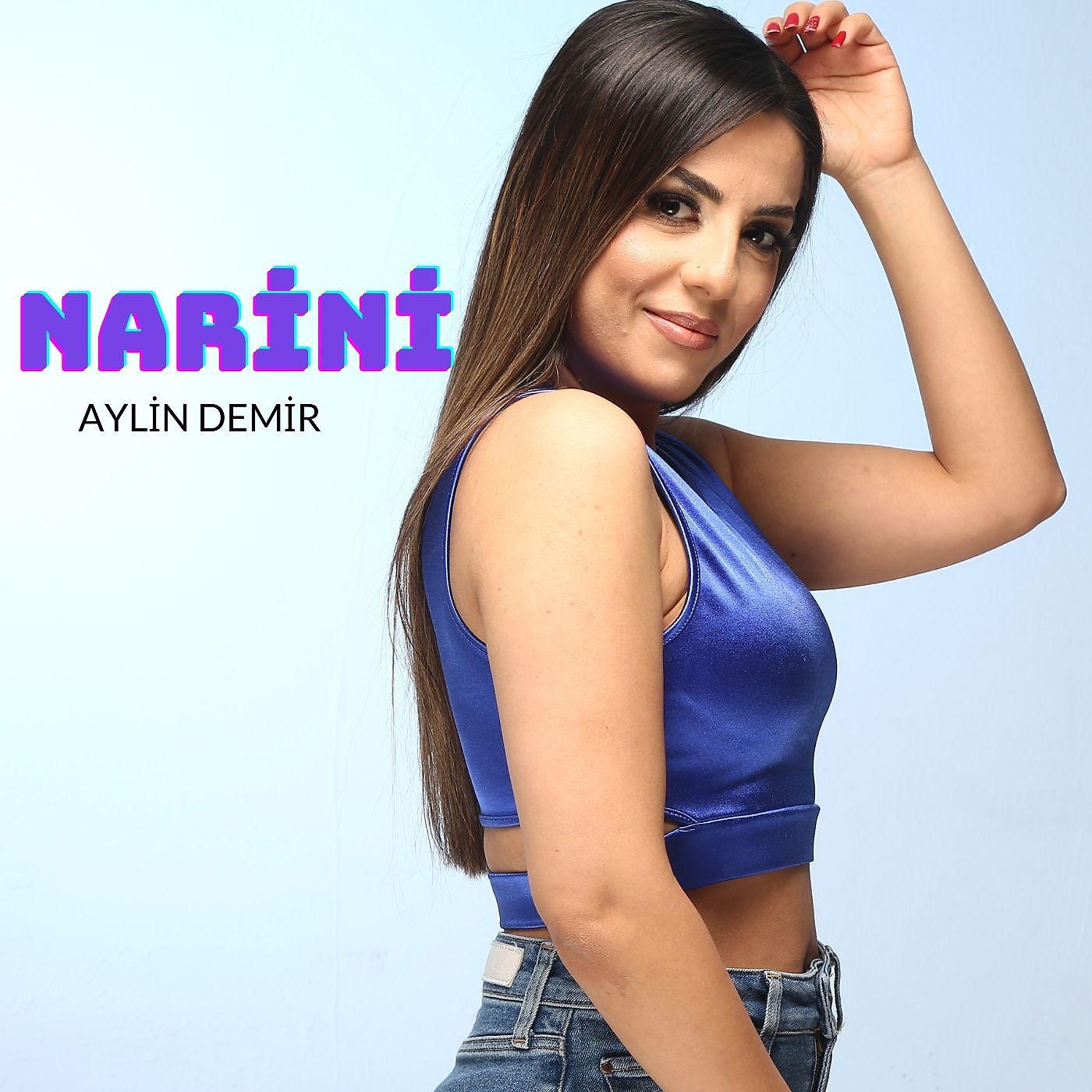 Постер альбома Narini