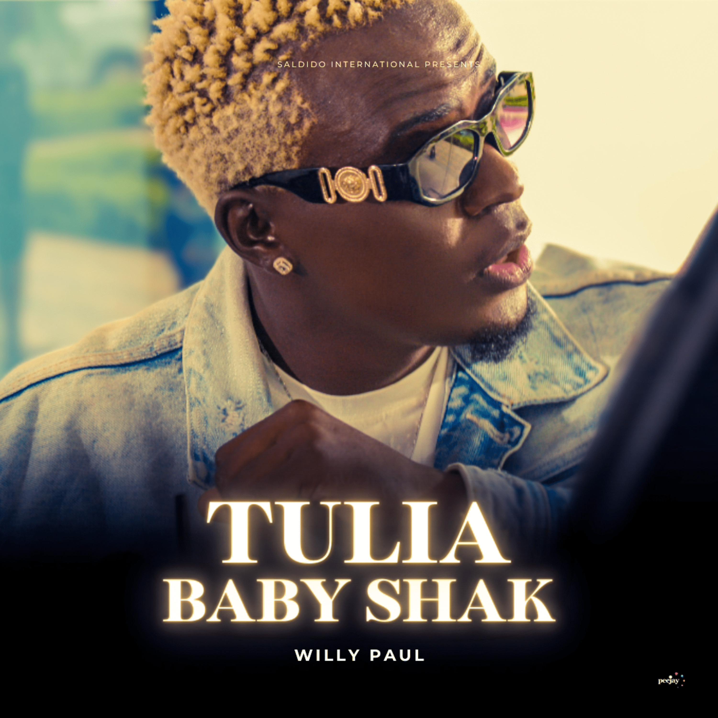 Постер альбома Tulia Baby Shak