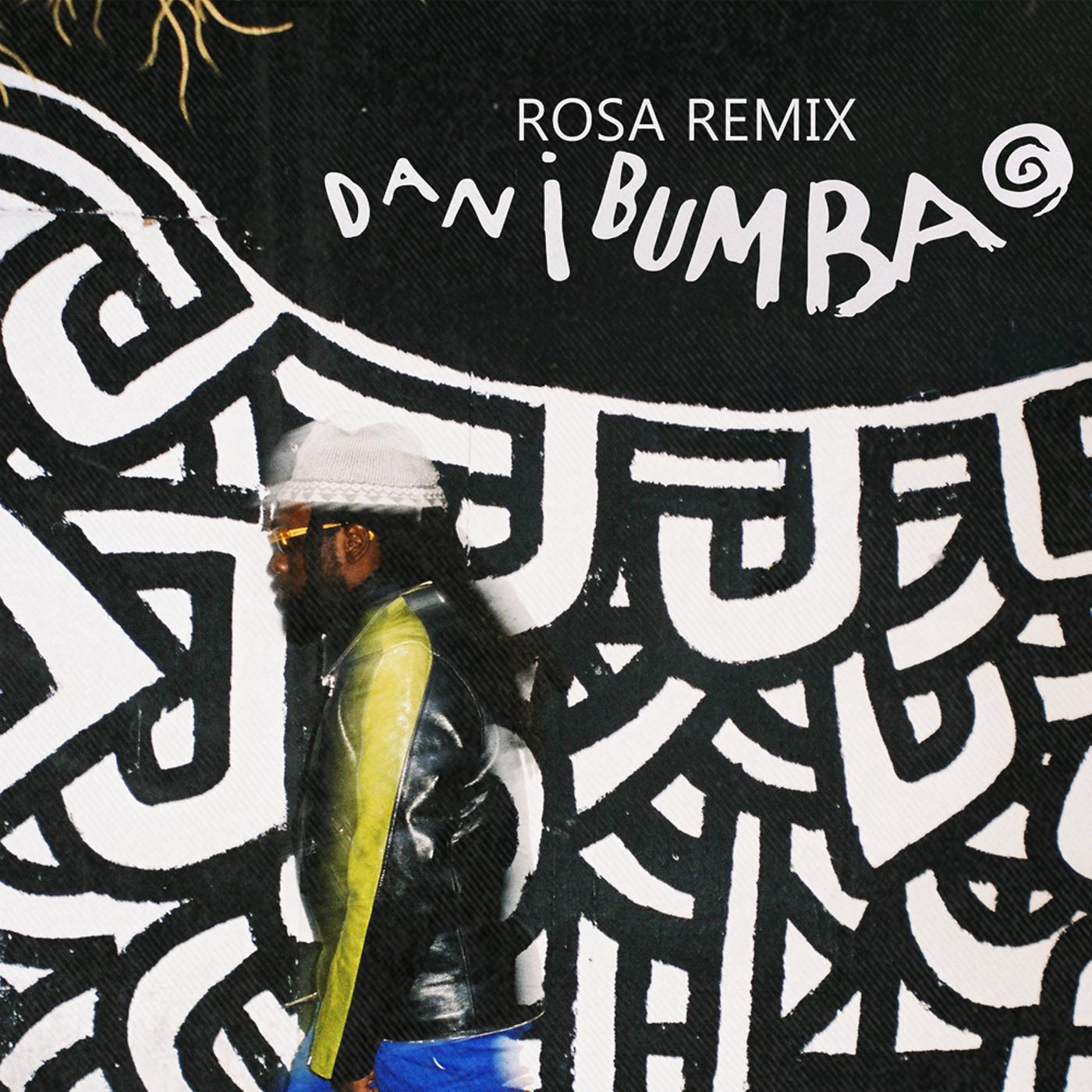 Постер альбома Rosa (remix)