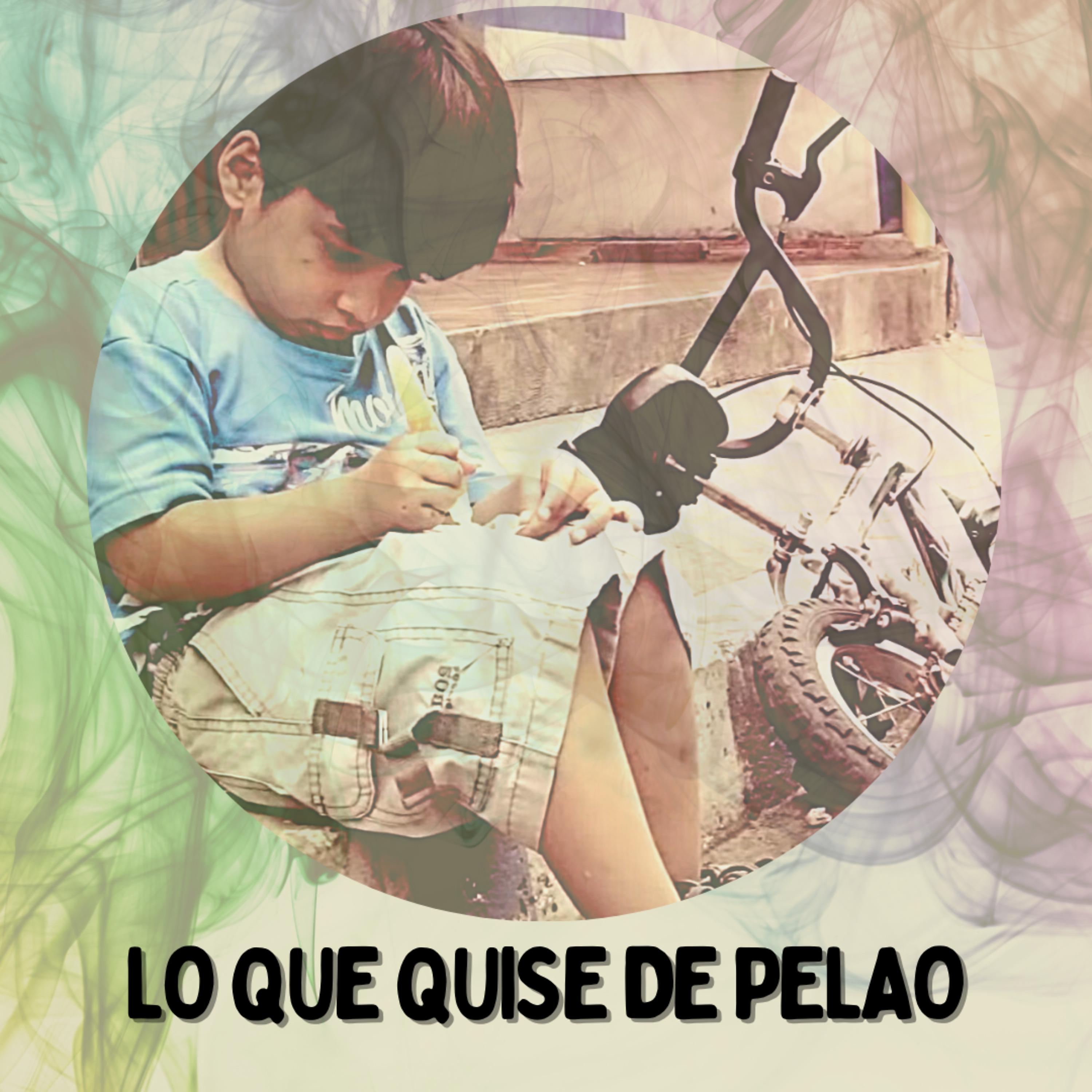 Постер альбома Lo Que Quise de Pelao