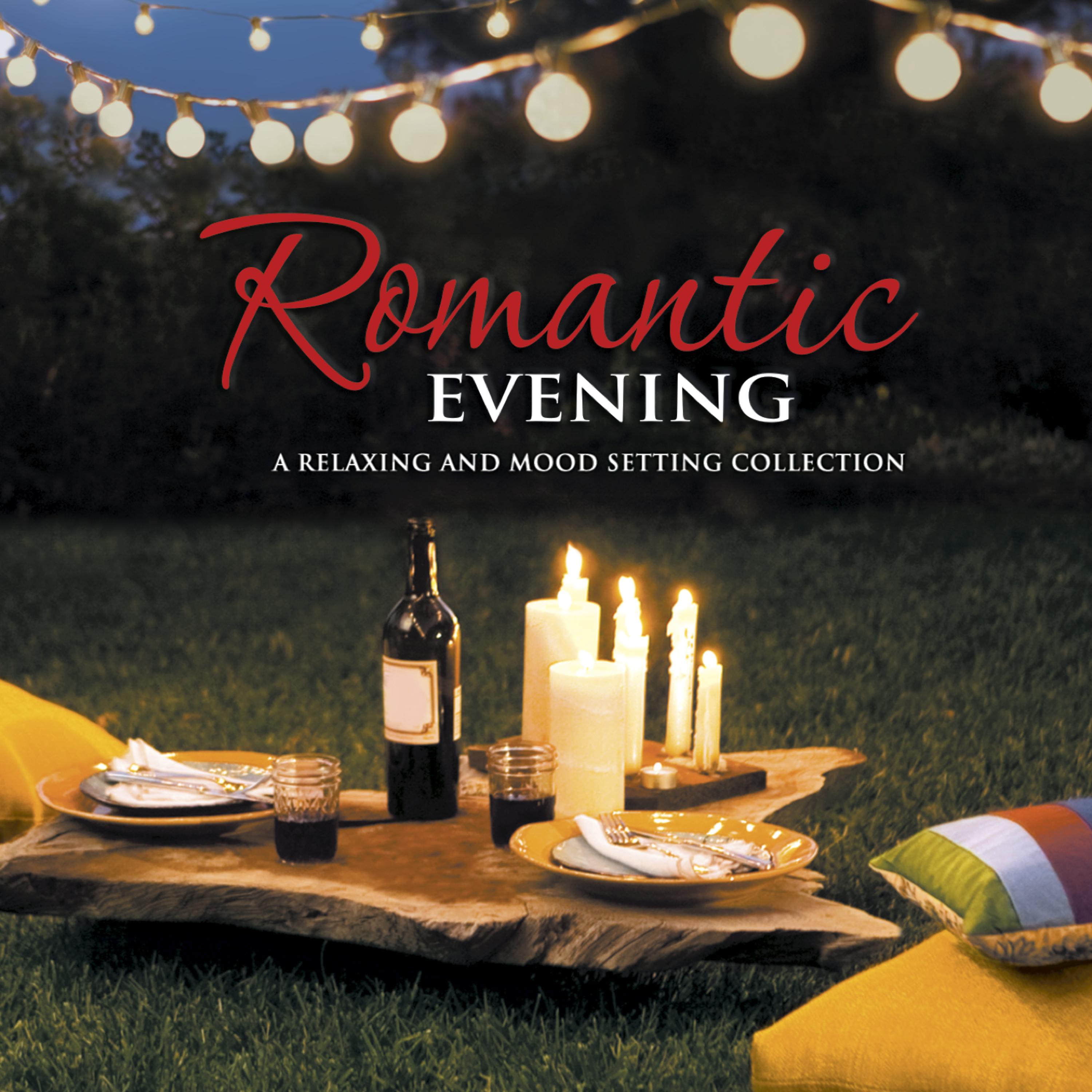 Постер альбома Romantic Evening
