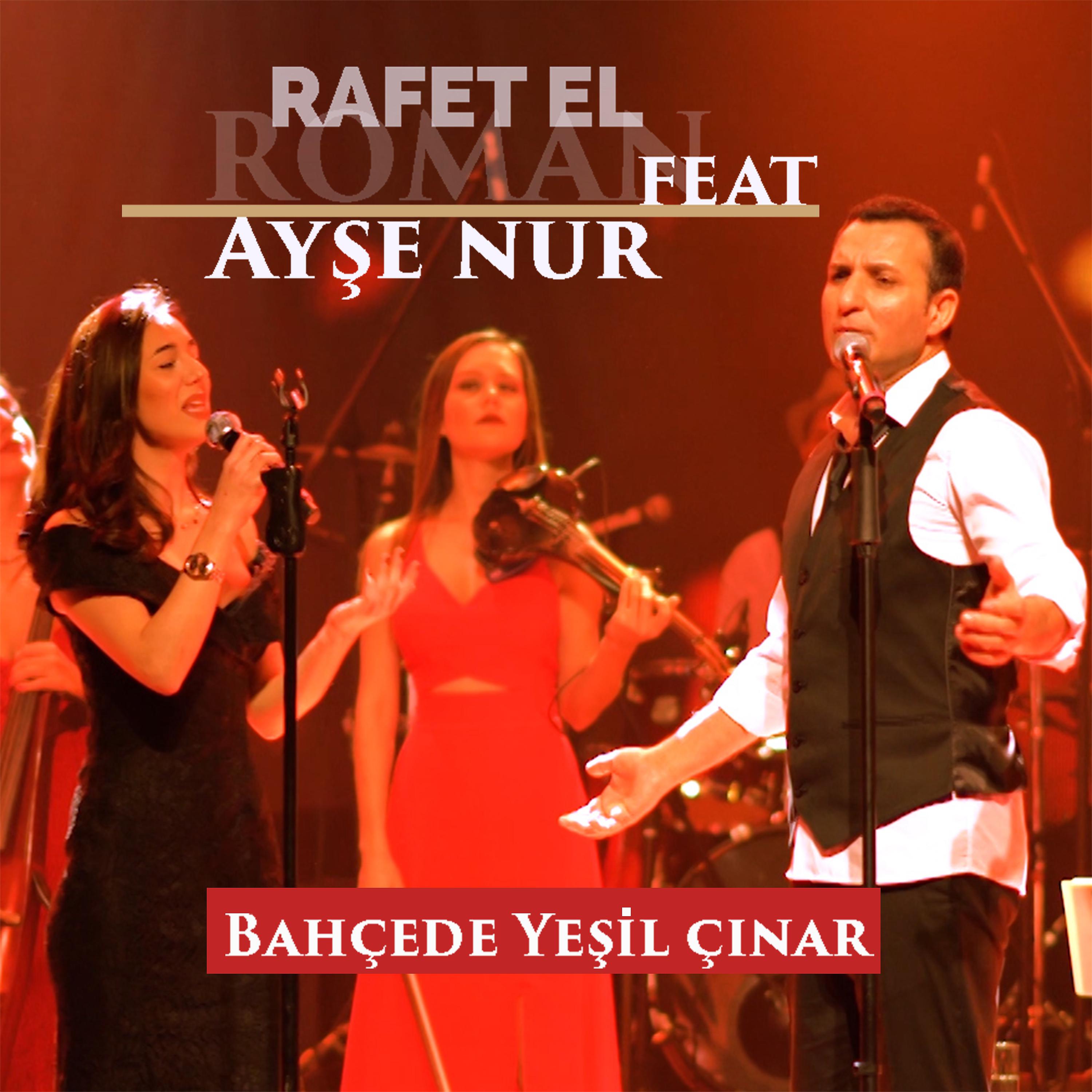 Постер альбома Bahçede Yeşil Çınar (feat. Ayşe Nur Keskin)