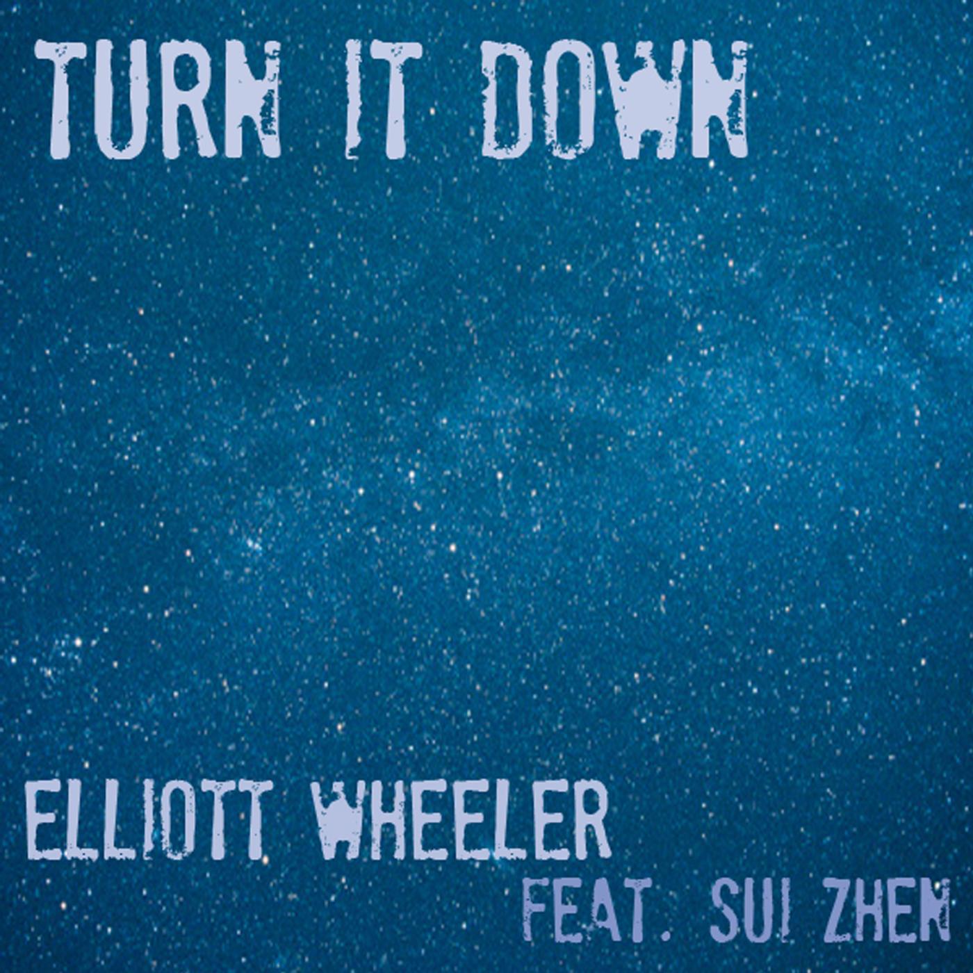Постер альбома Turn It Down (feat. Sui Zhen)