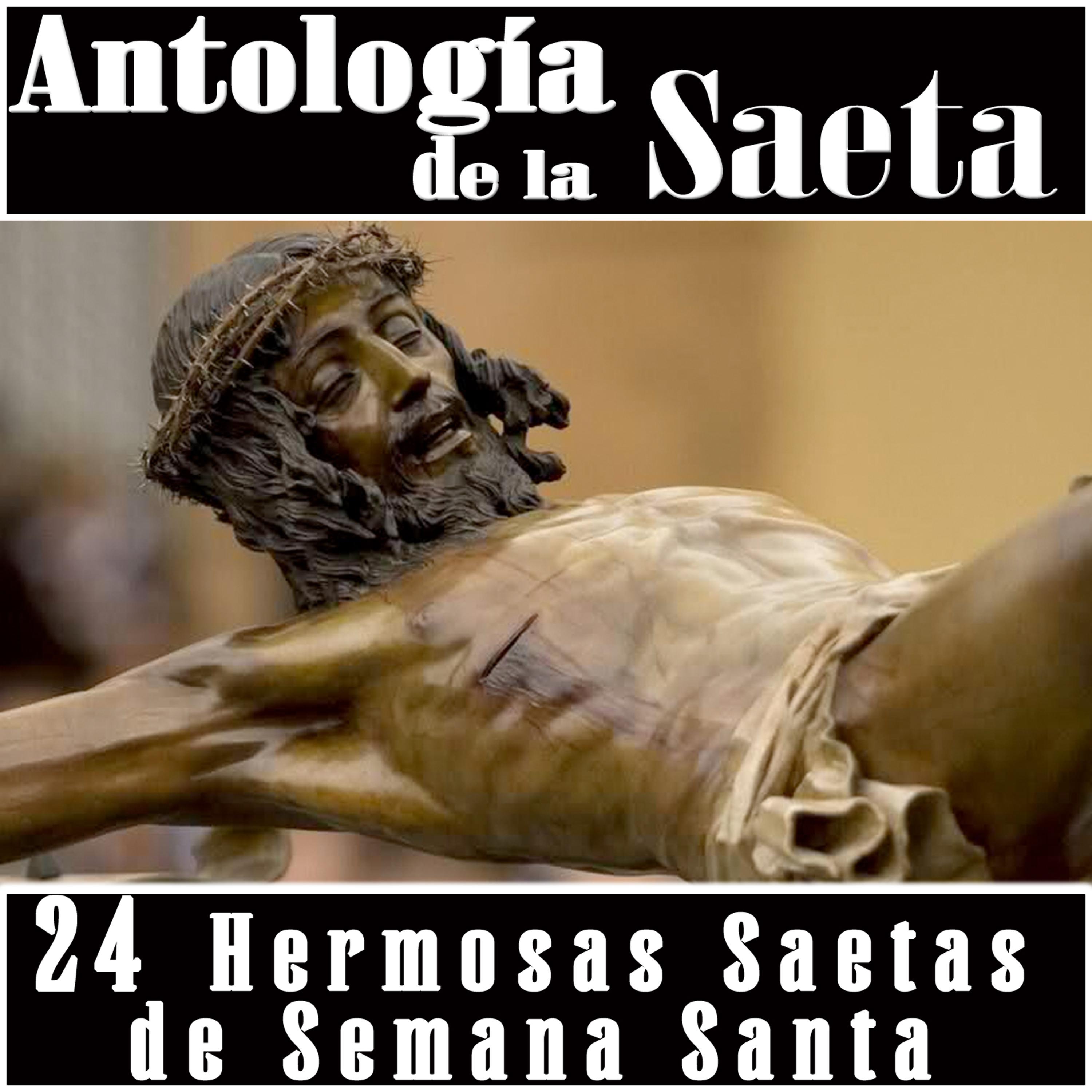 Постер альбома Antología de la Saeta. 24 Hermosas Saetas de Semana Santa