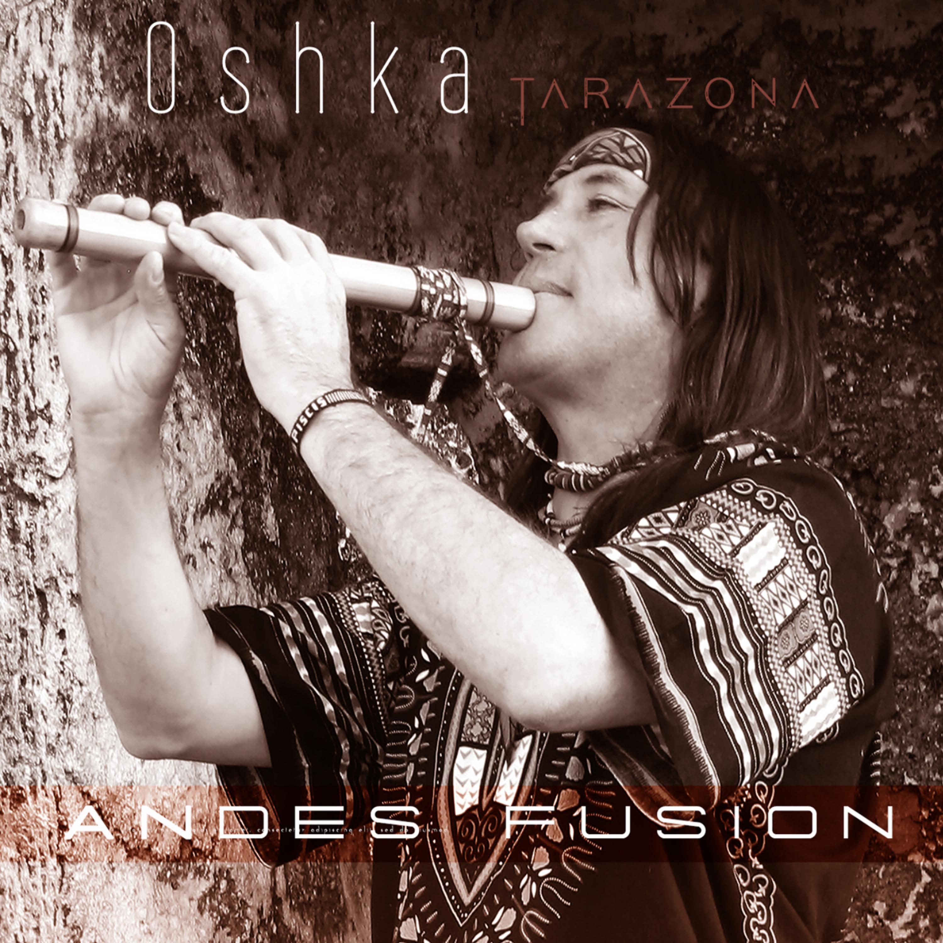 Постер альбома Andean Fusion