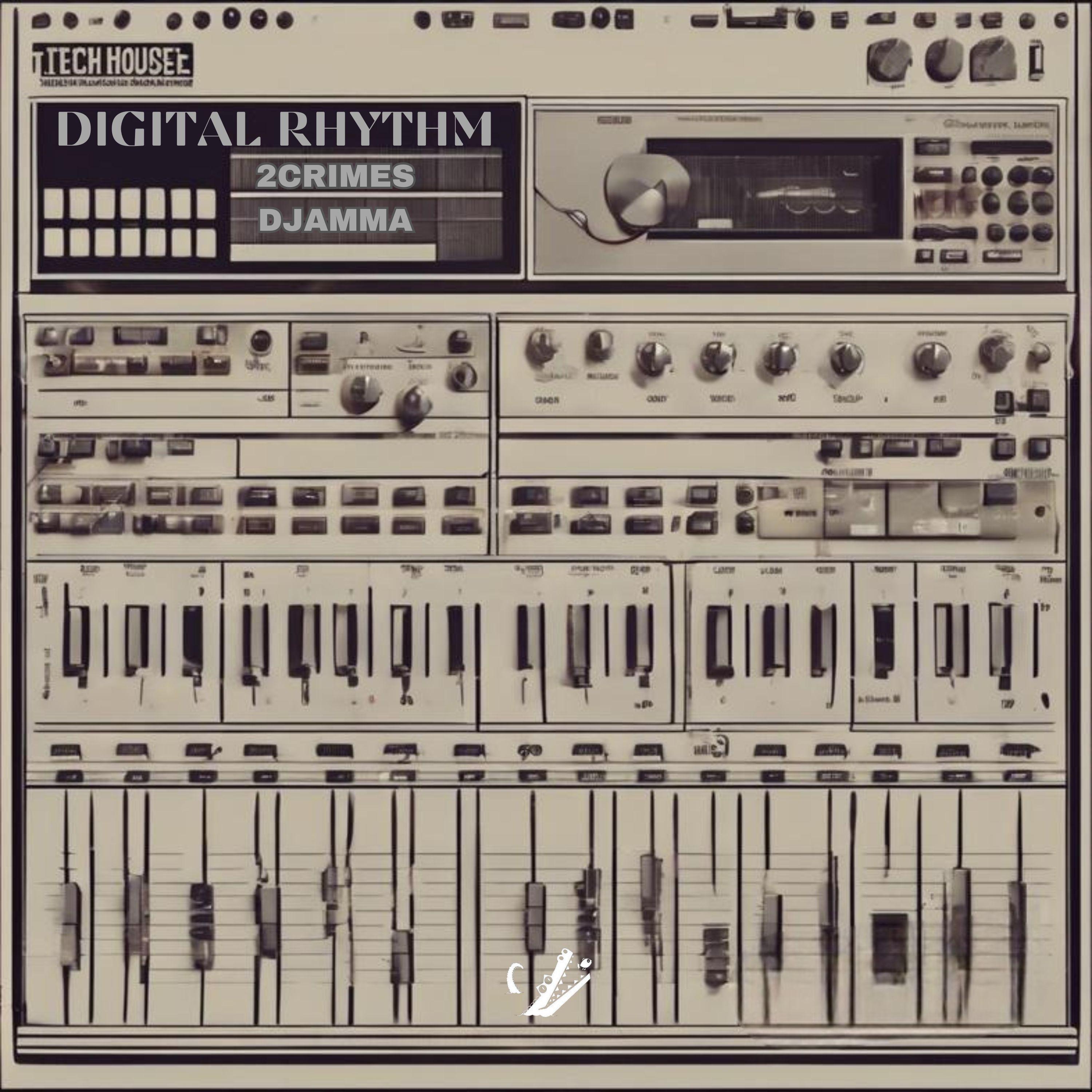 Постер альбома Digital Rhythm