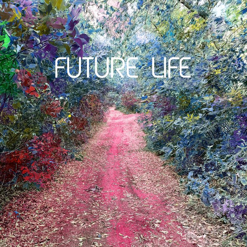 Постер альбома Future Life