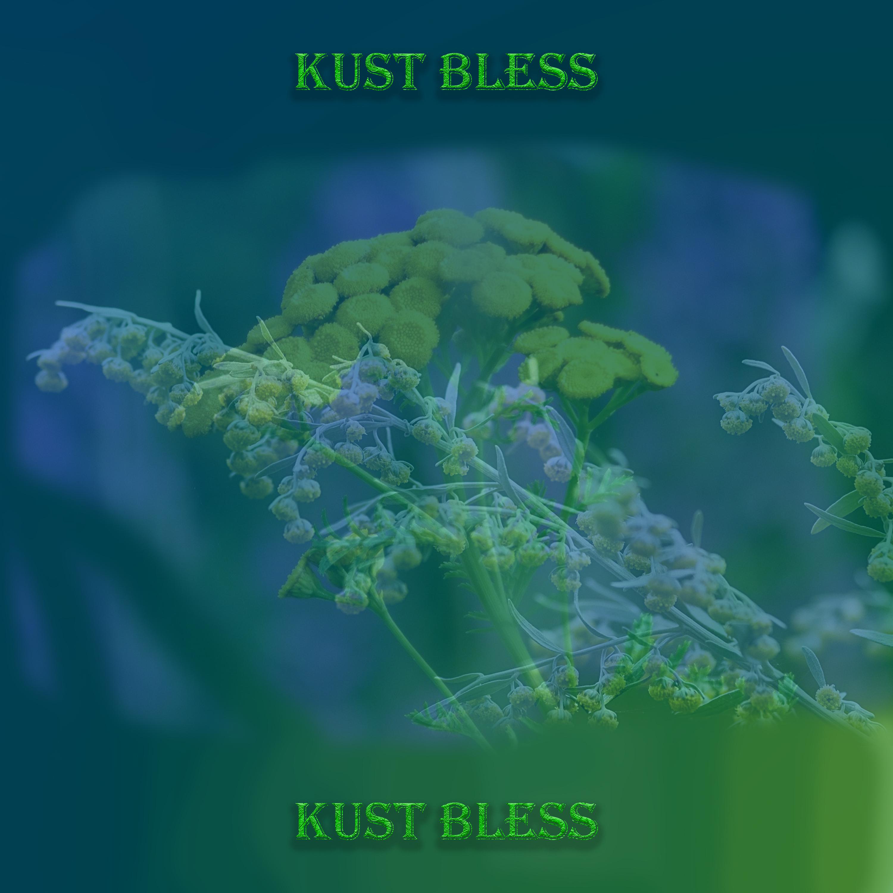 Постер альбома Kust Bless
