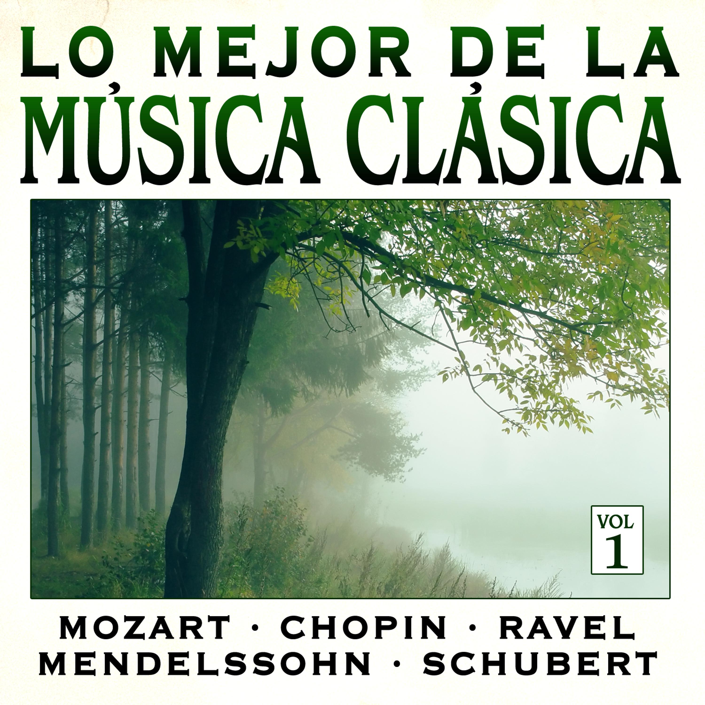 Постер альбома Música Clásica Vol.1