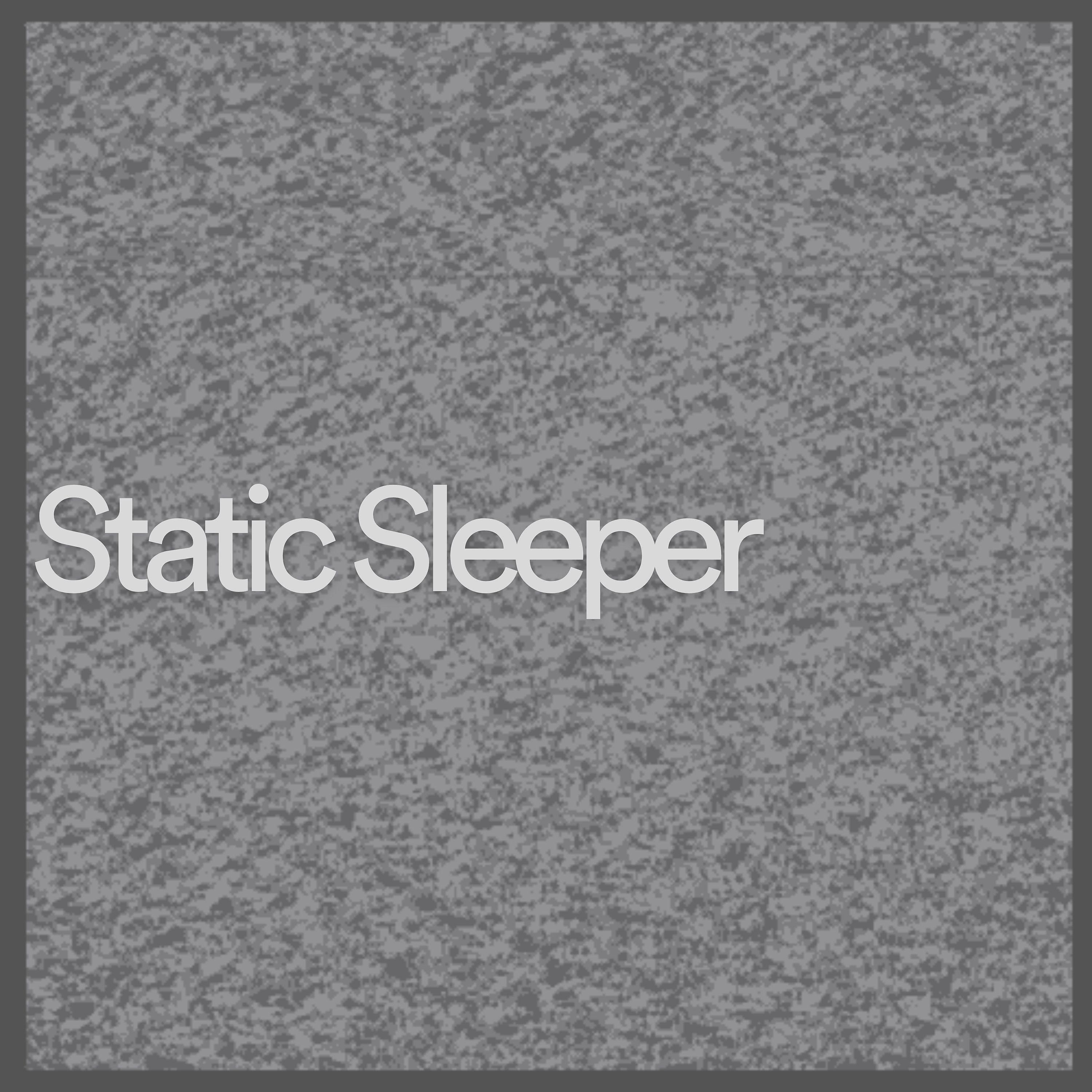 Постер альбома Static Sleeper