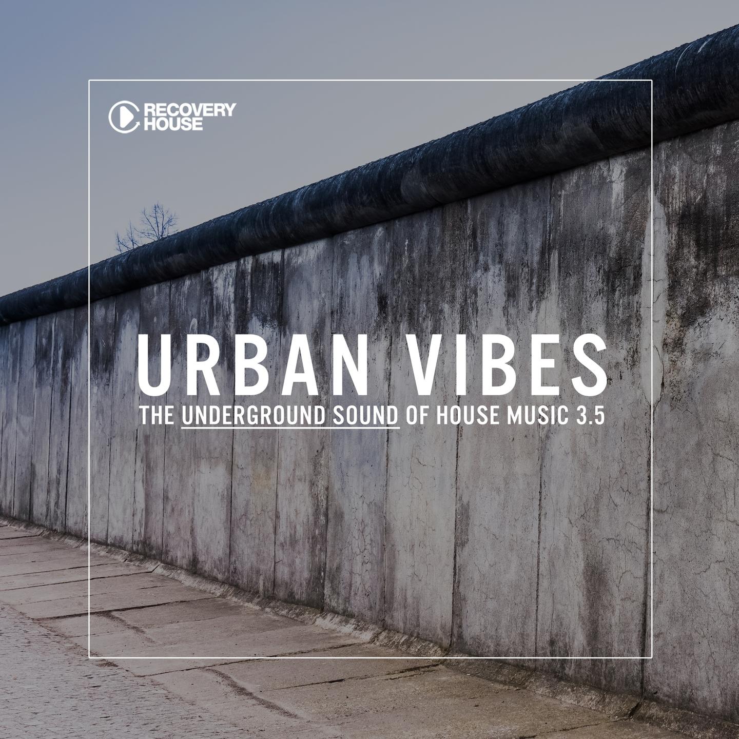 Постер альбома Urban Vibes - The Underground Sound of House Music 3.5