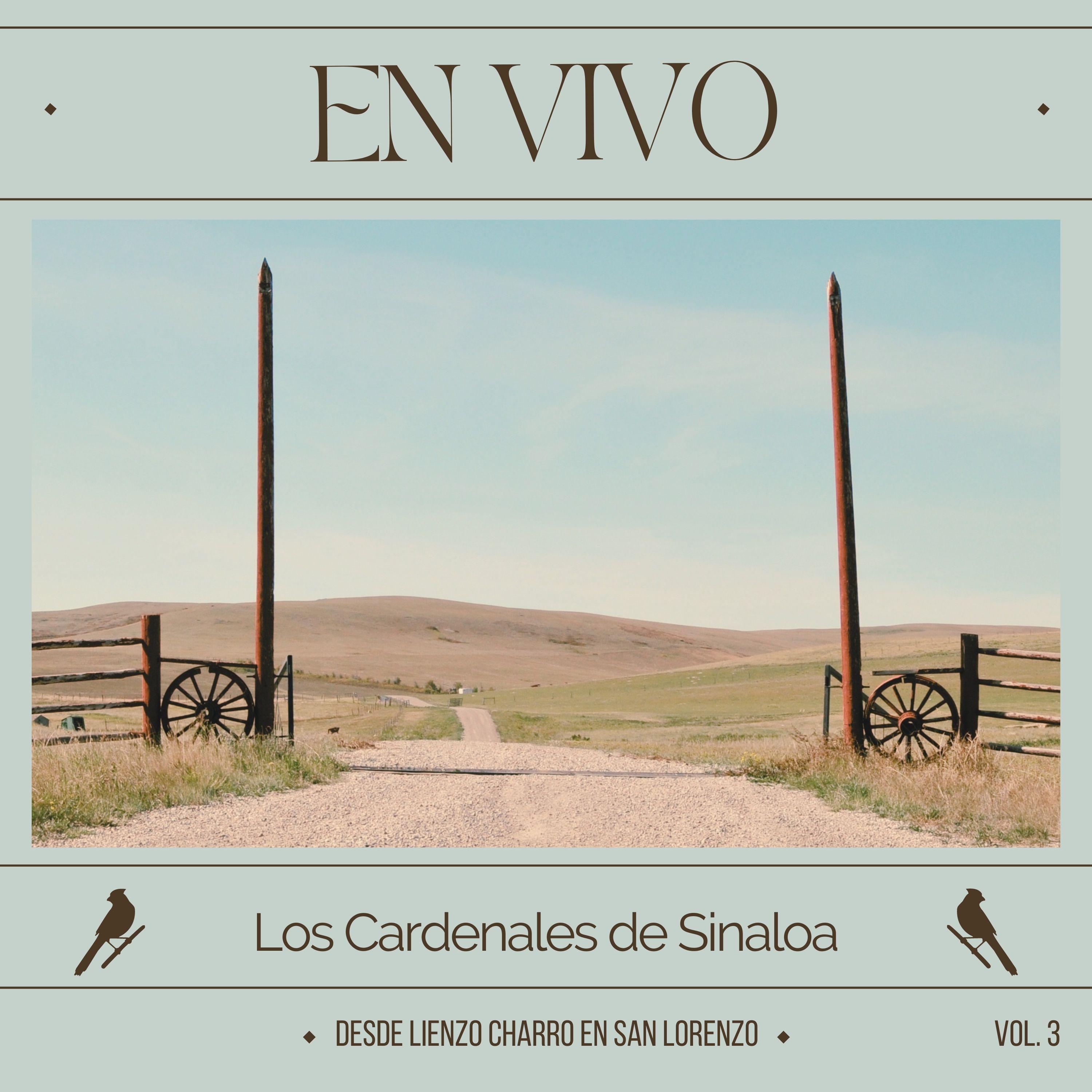 Постер альбома En Vivo desde Lienzo Charro en San Lorenzo