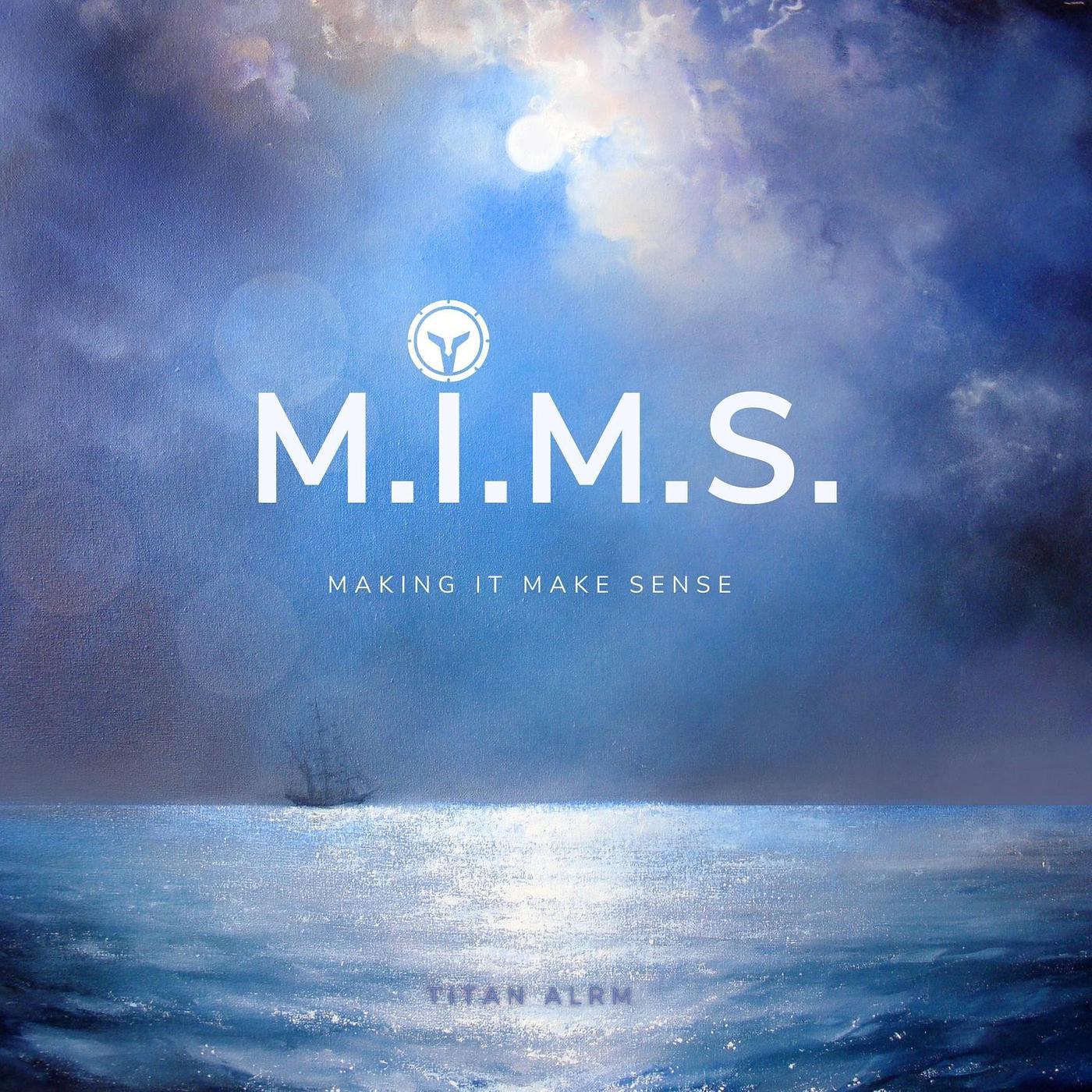 Постер альбома M.I.M.S. (Making It Make Sense)