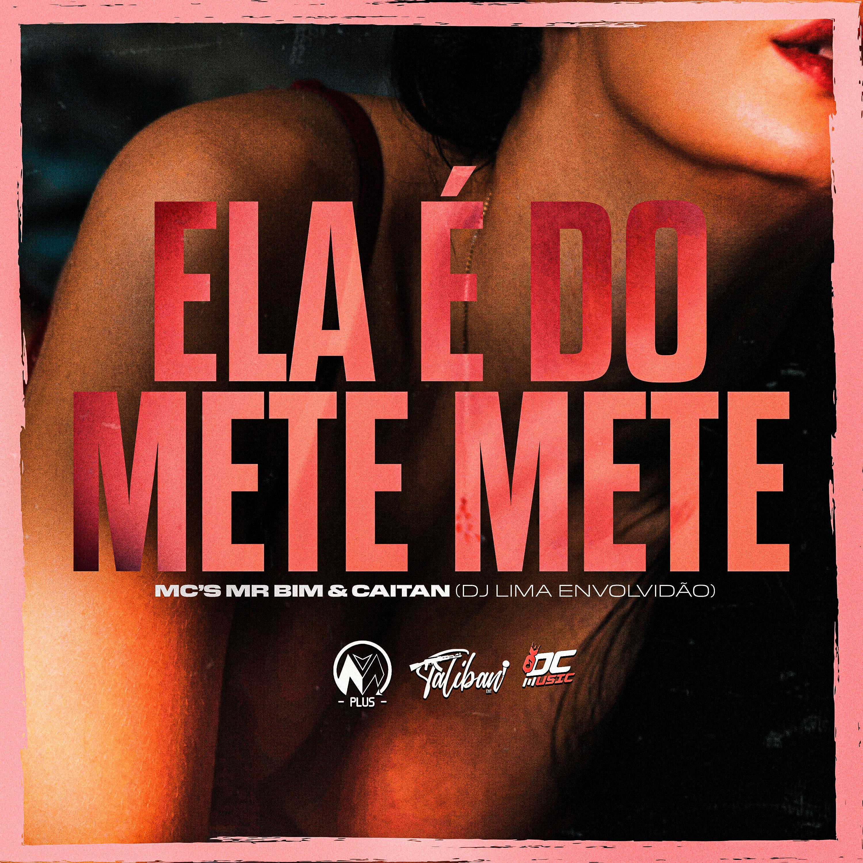 Постер альбома Ela É do Mete Mete