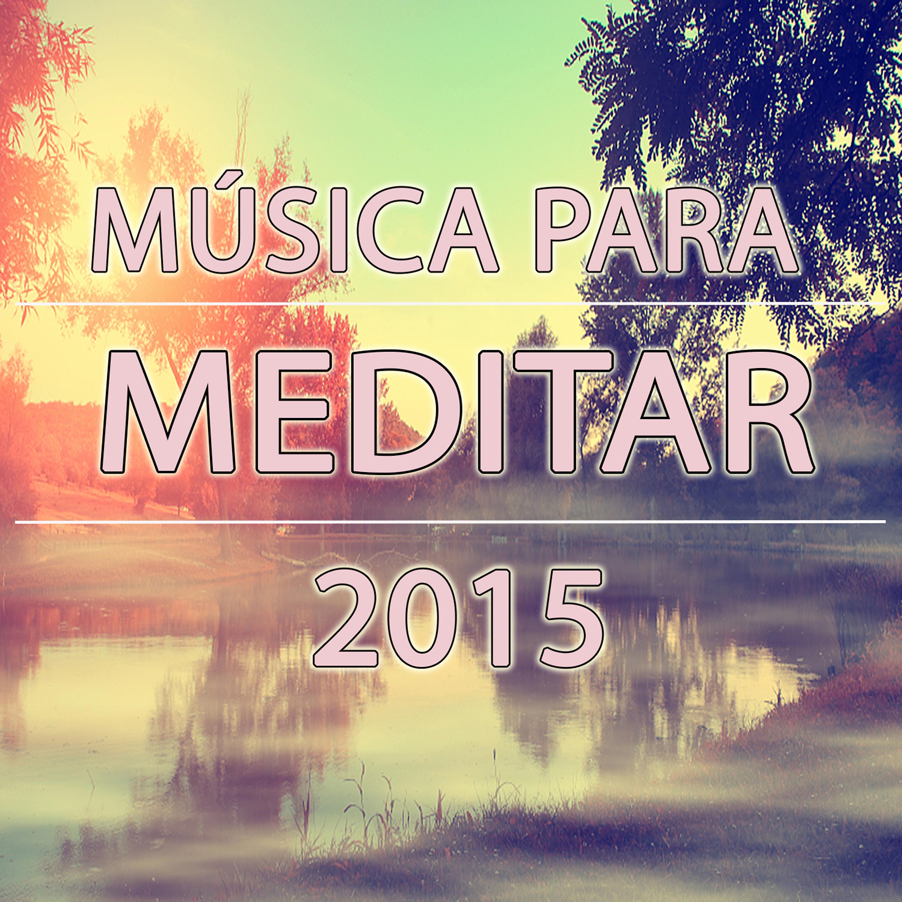 Постер альбома Música Para Meditar