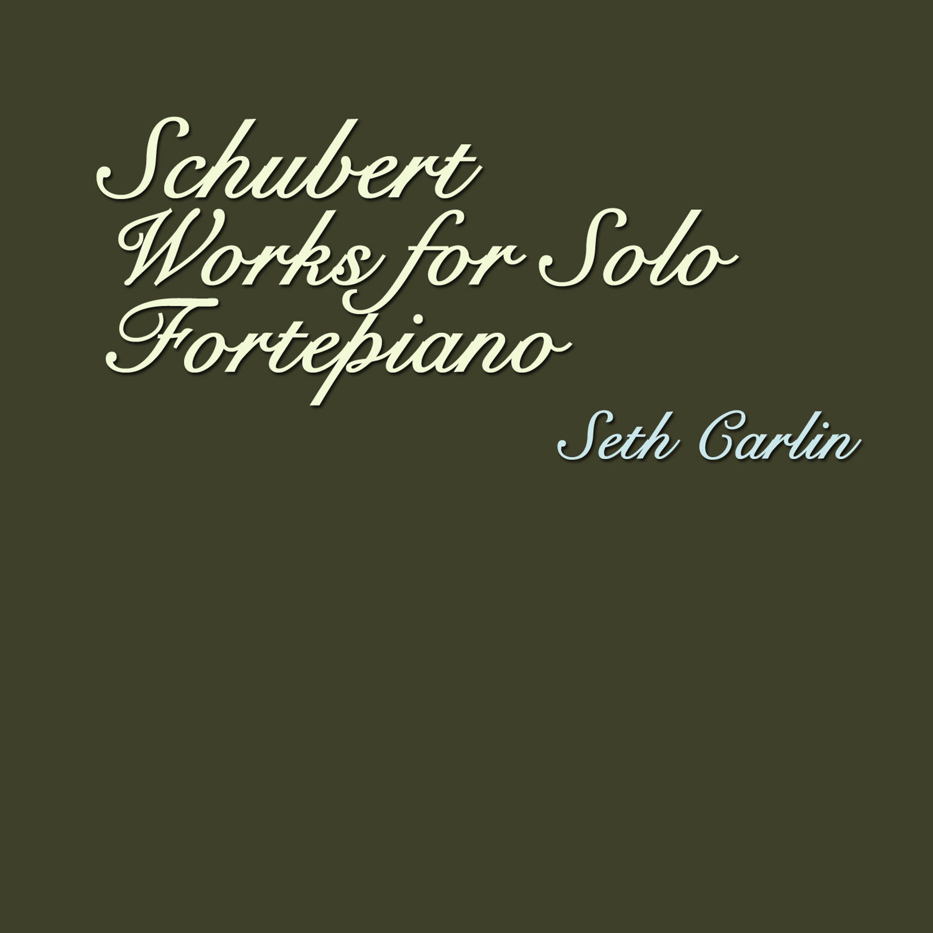 Постер альбома Schubert - Works for Solo Fortepiano