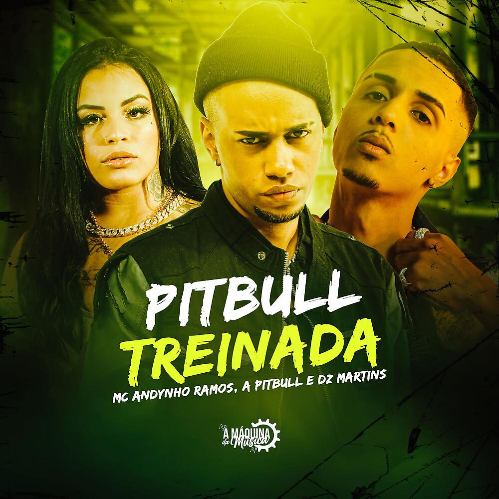 Постер альбома Pitbull Treinada