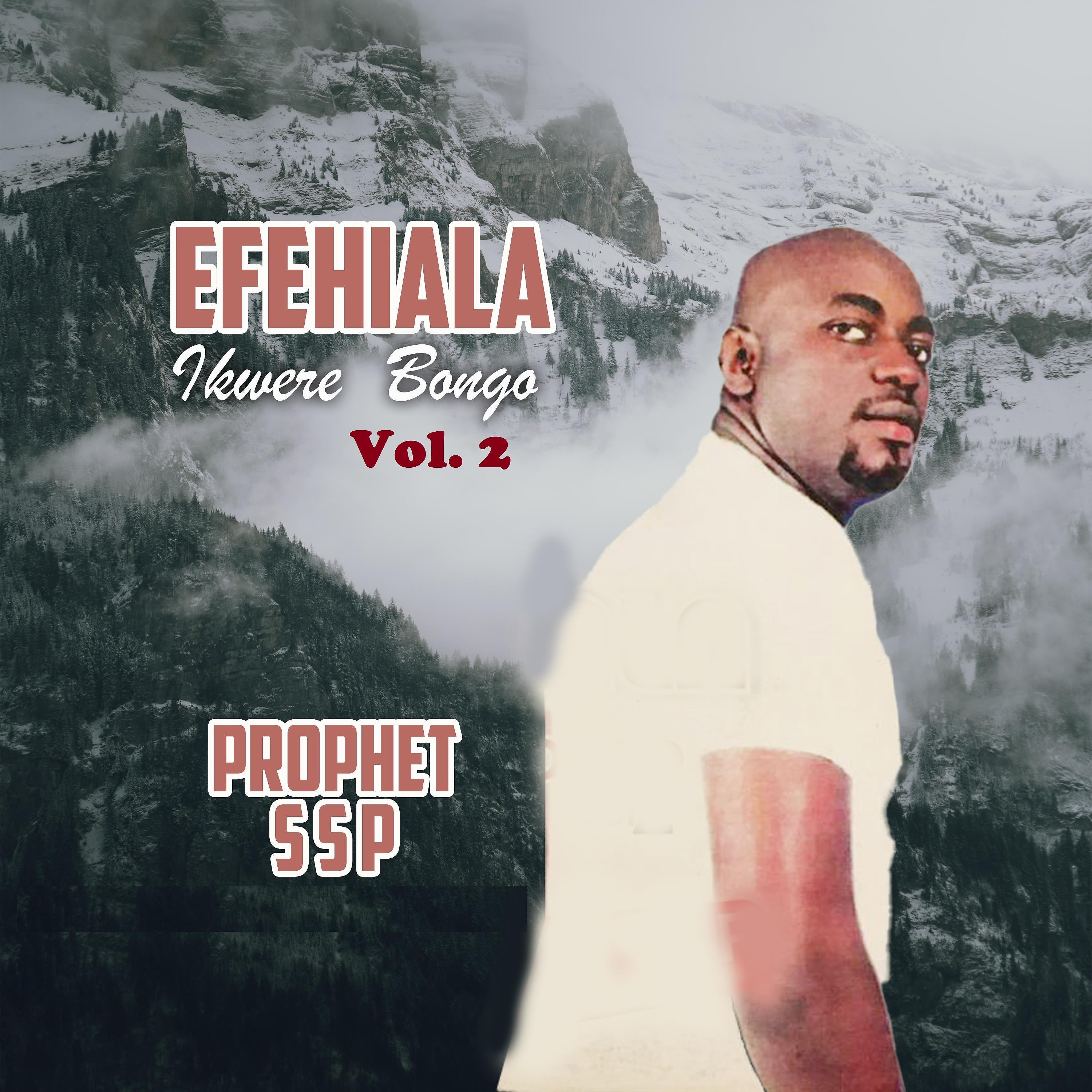 Постер альбома Efehiala Kwerre Bongo, Vol. 2